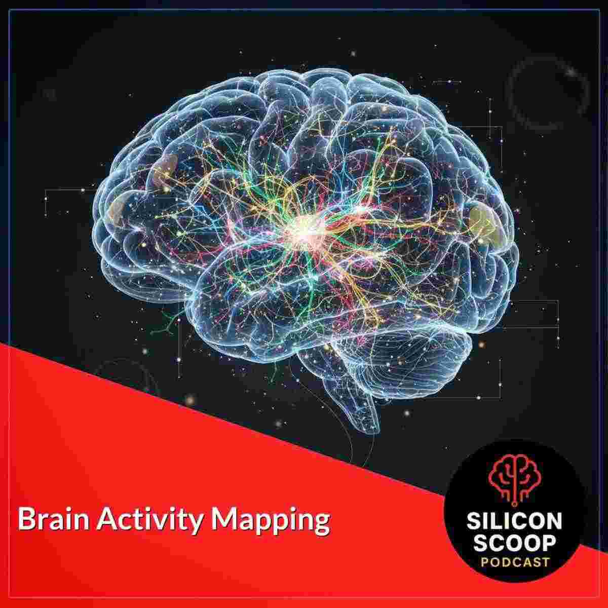 https://torontostarts.com/wp-content/uploads/2025/11/brain-activity-mapping_album.jpeg
