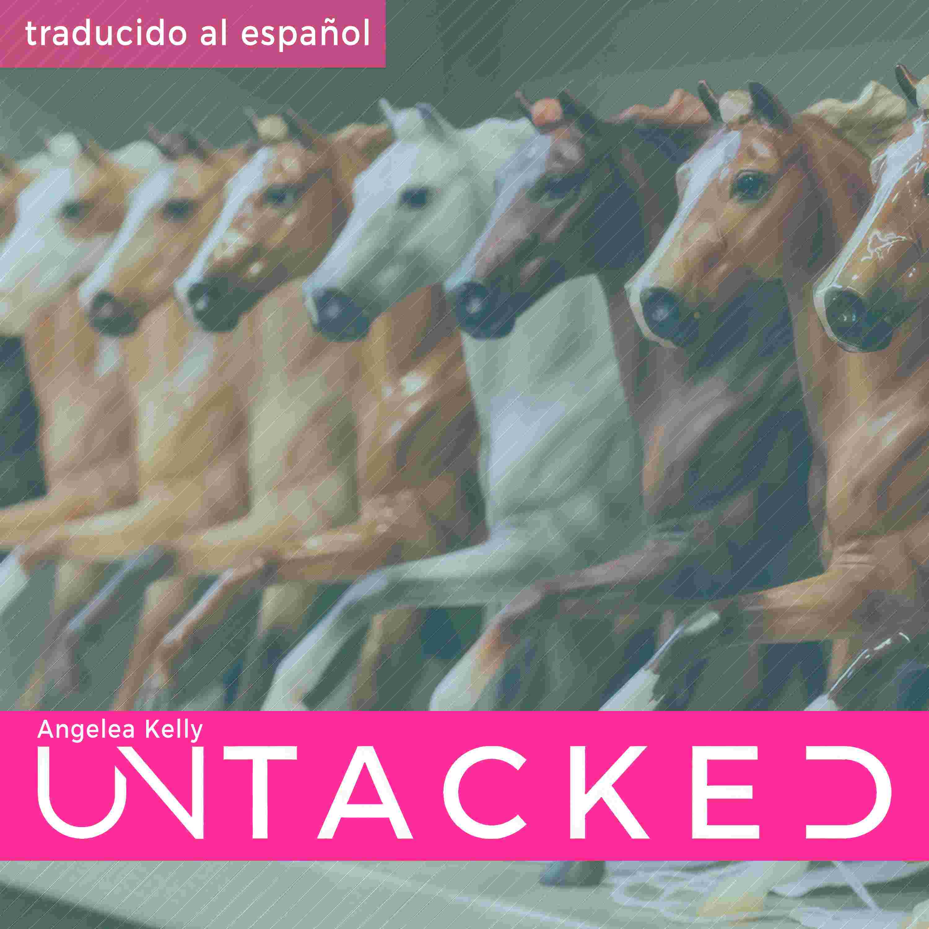 https://untacked.com/img/item-ep147es.jpg