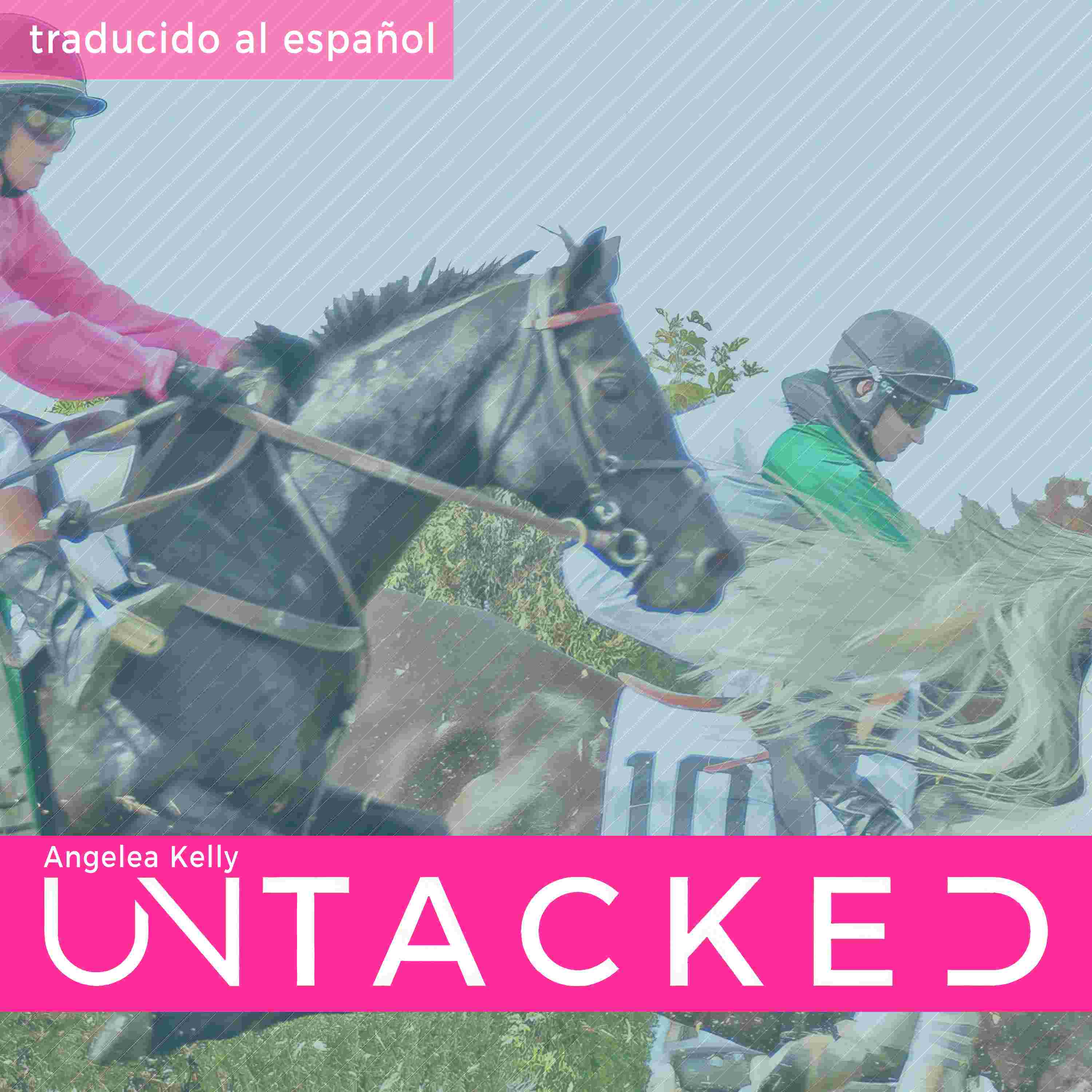 https://untacked.com/img/item-ep148es.jpg