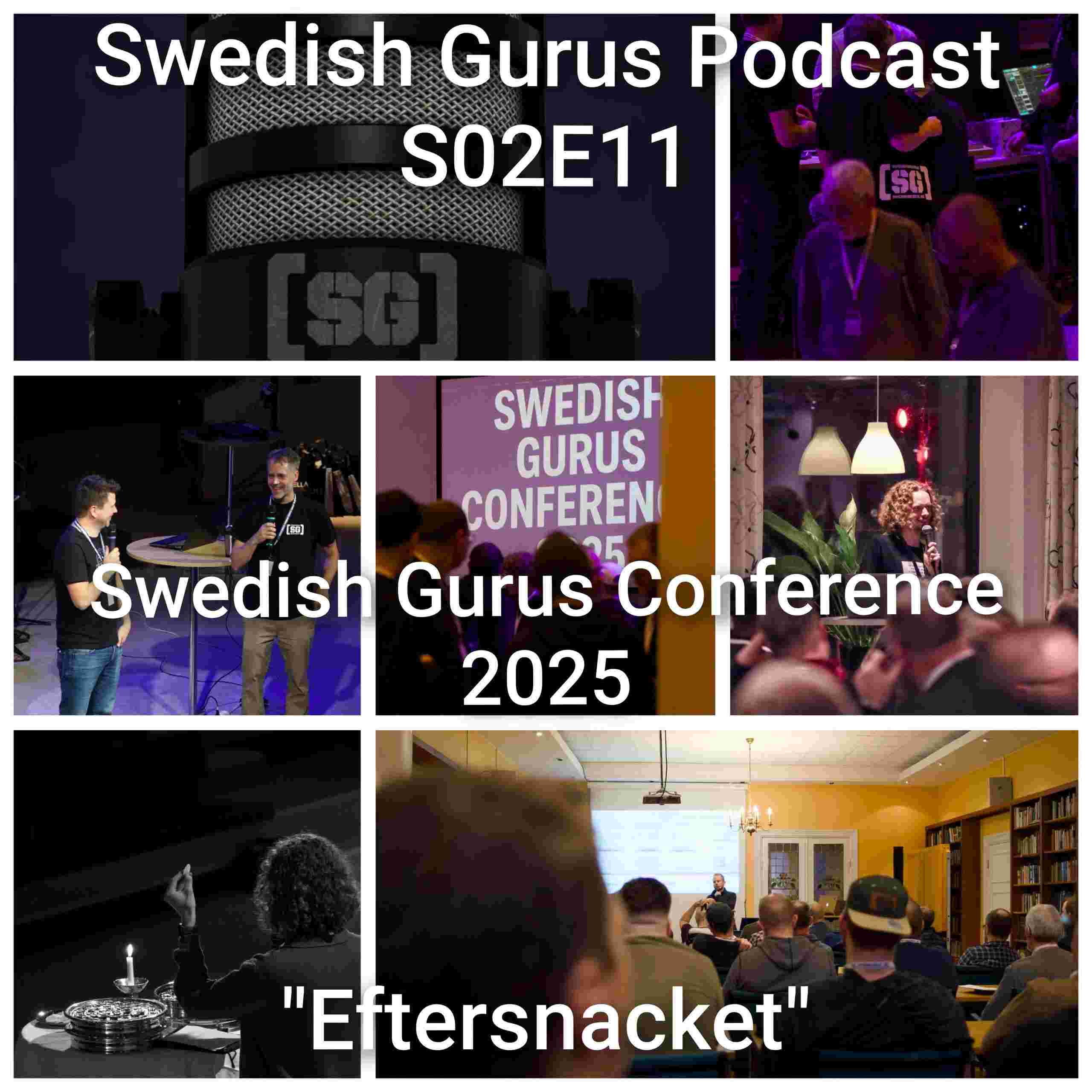 https://usercontent.one/wp/swedishgurus.se/wp-content/uploads/2025/11/SGP-s02e11-bild-scaled.jpg