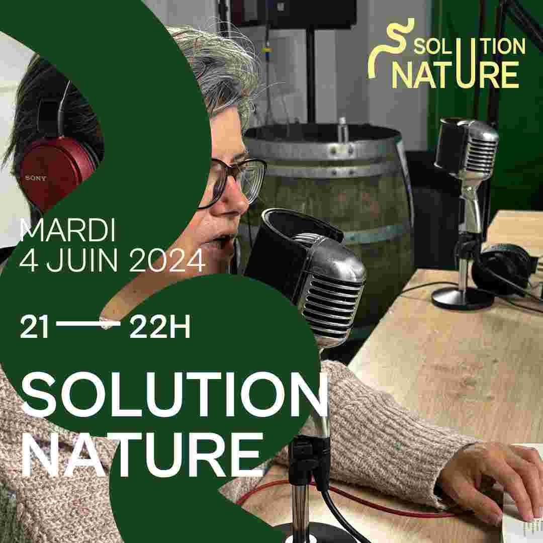 https://wantedradio.fr/wp-content/uploads/2024/06/Solution-Nature-48-Insta.jpg
