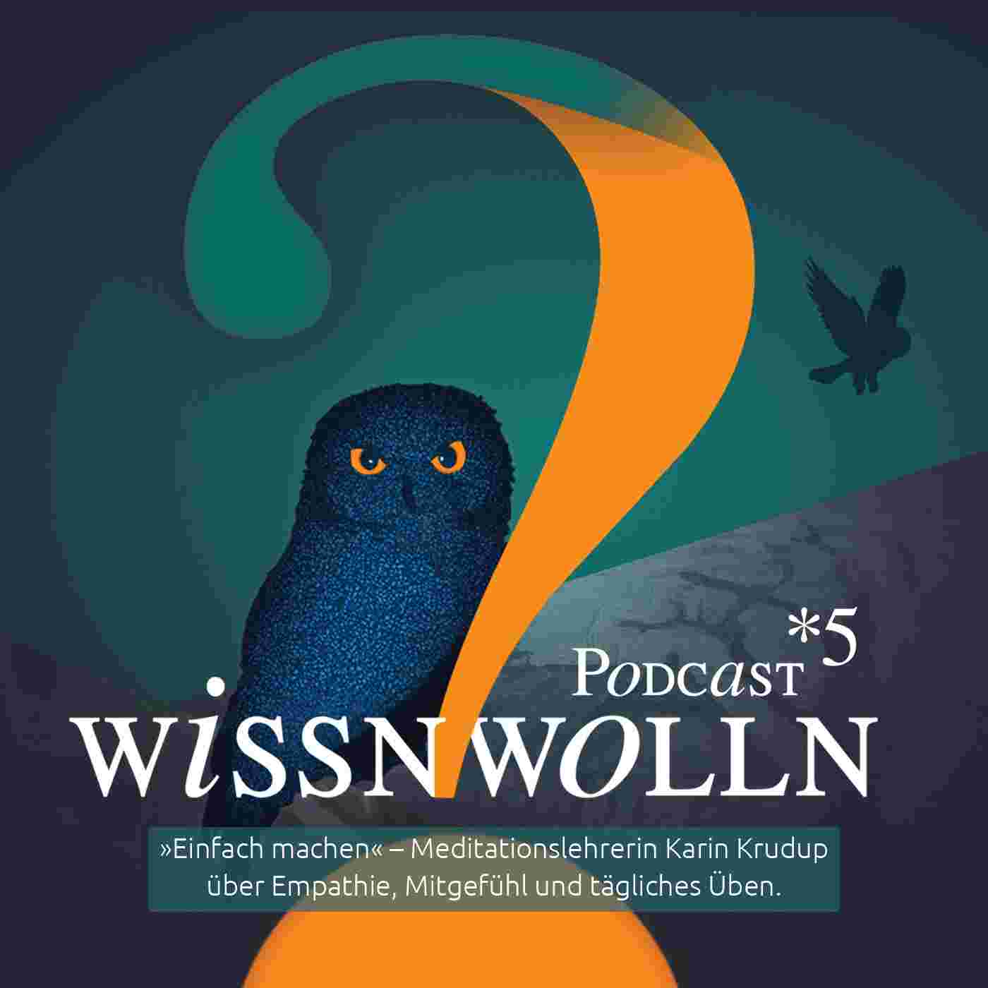https://wmtdix.podcaster.de/aigiko/logos/wissnwolln5.jpg