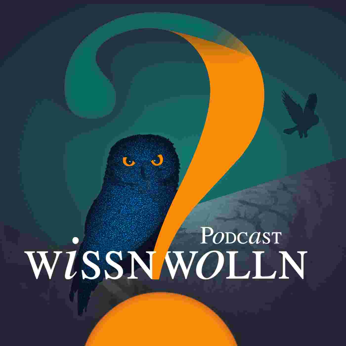 https://wmtdix.podcaster.de/aigiko/logos/wiwo-web.jpg