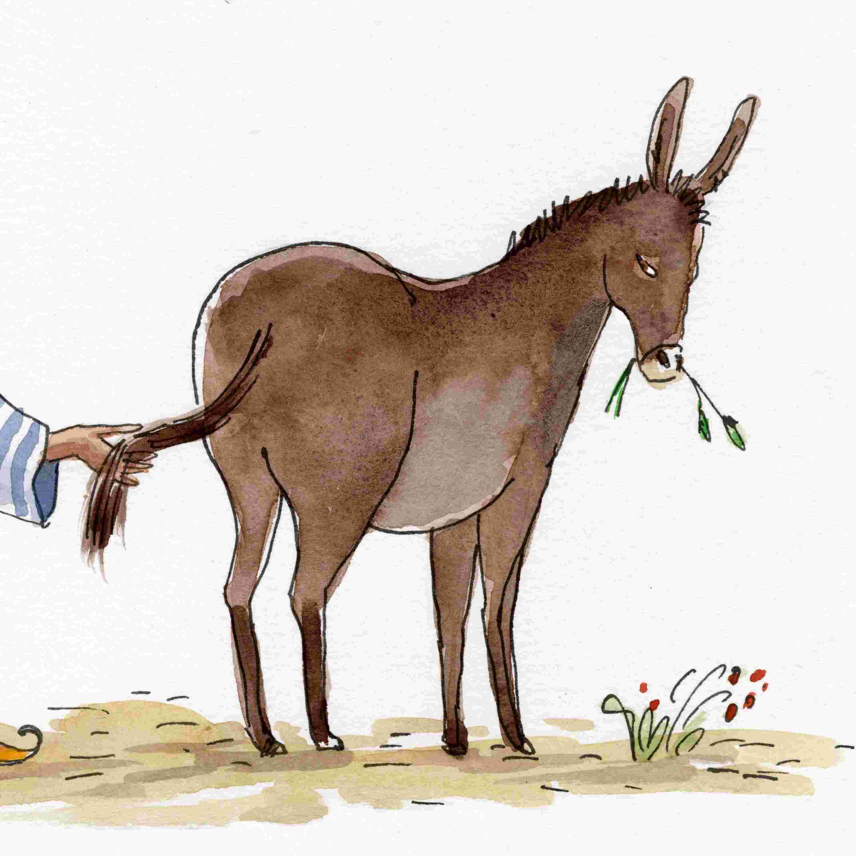 https://wordpress.wbur.org/wp-content/uploads/2025/04/donkeystailSQ.jpg