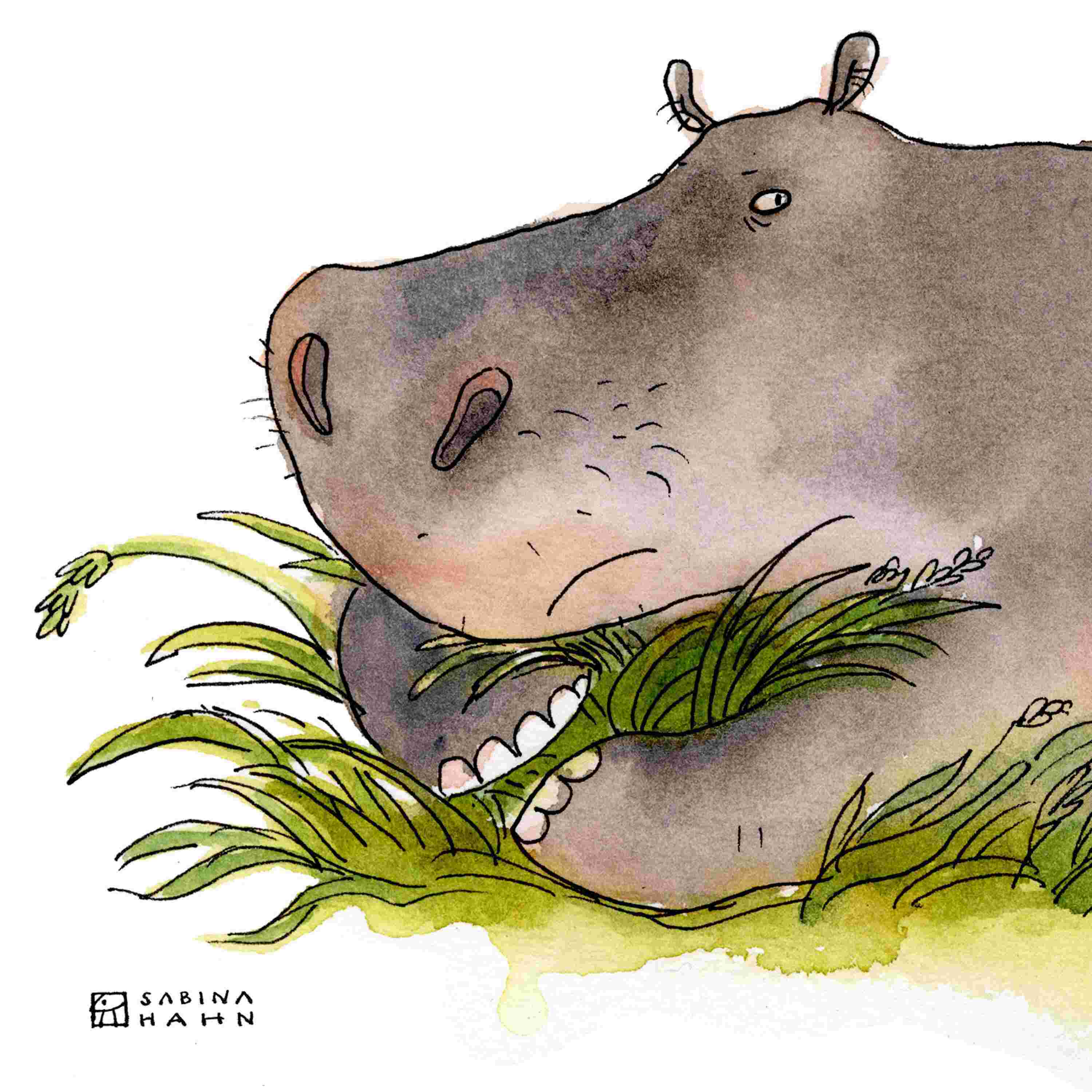 https://wordpress.wbur.org/wp-content/uploads/2025/05/hippoSQ.jpg