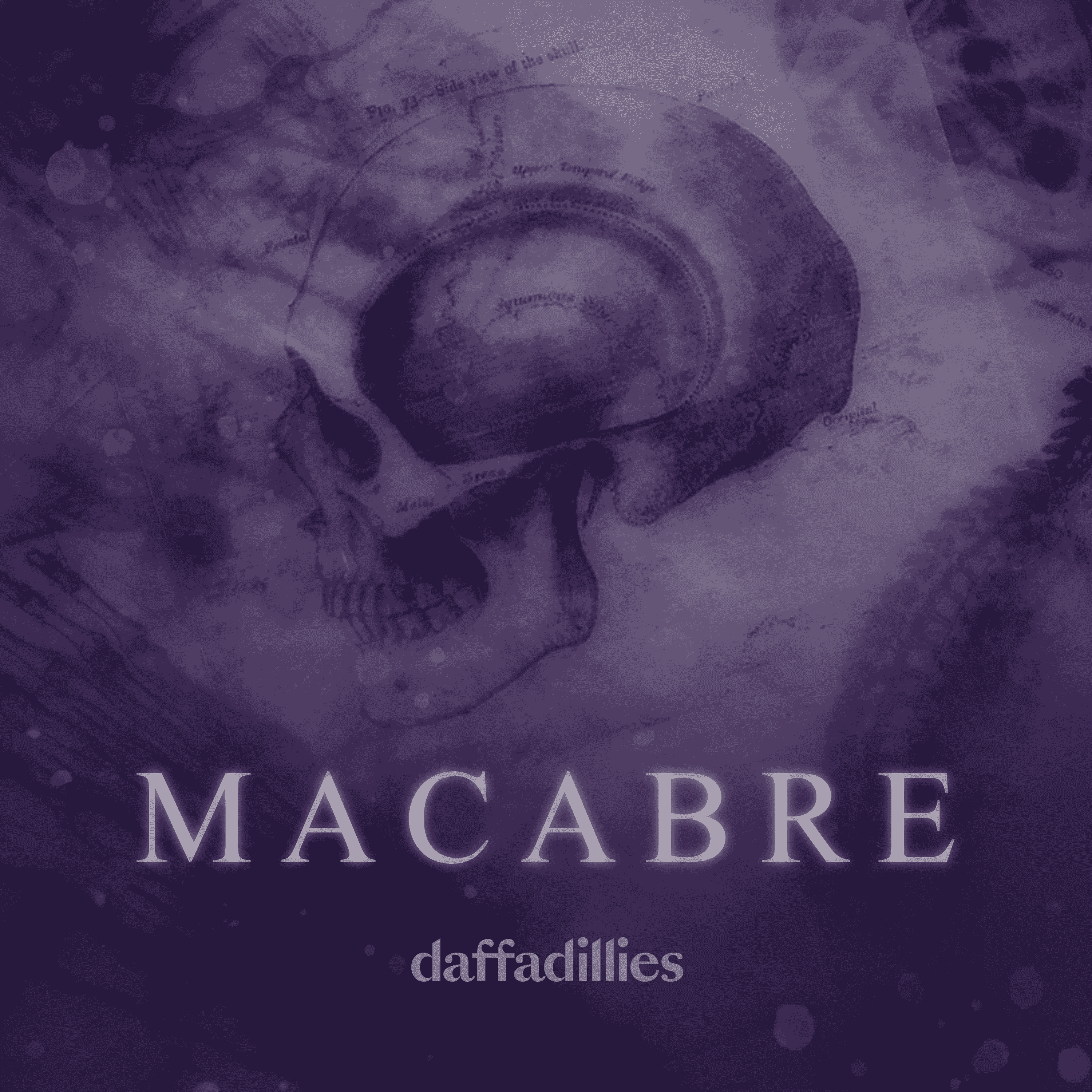 https://www.daffadillies.co.uk/media/images/classics/macabre/macabre.png