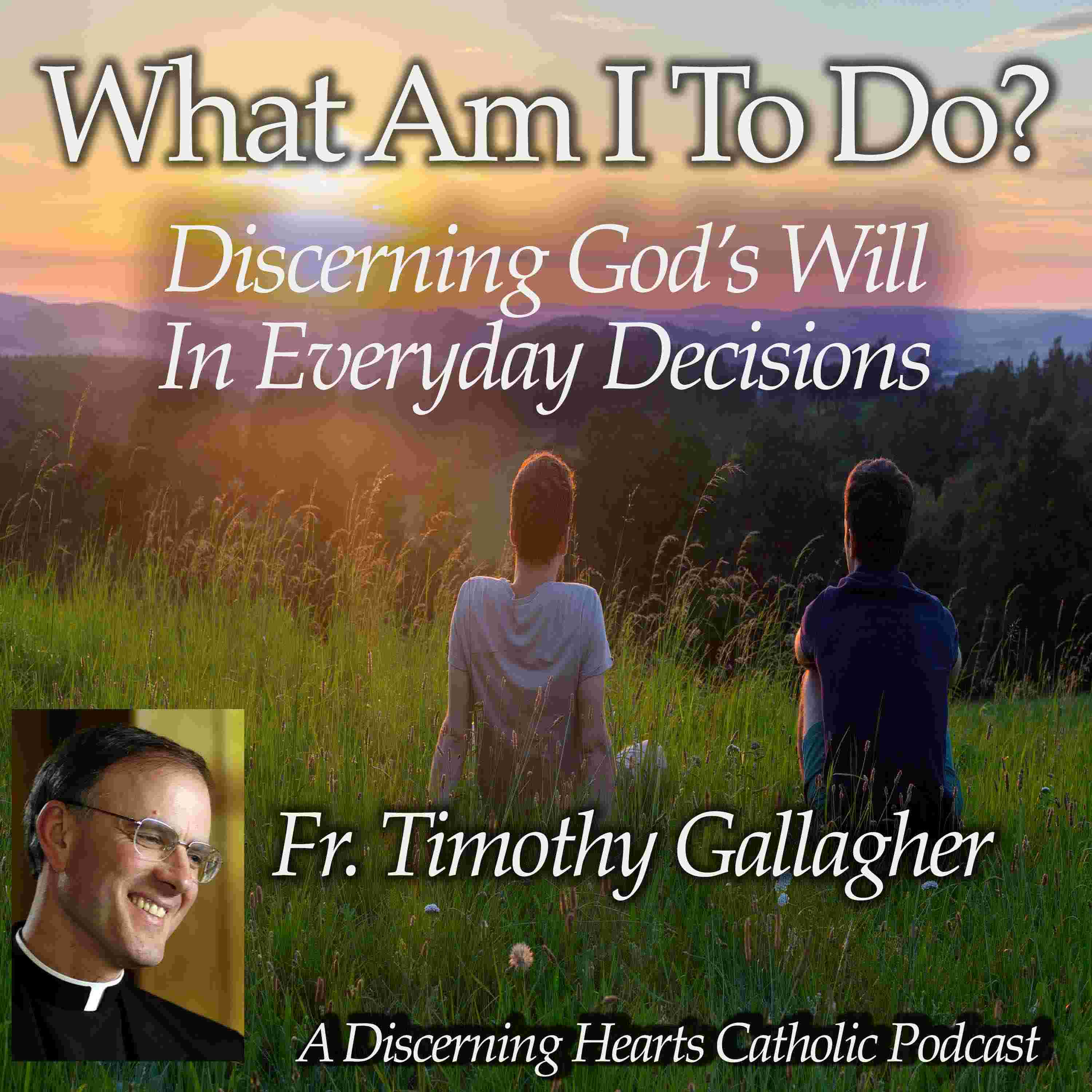 https://www.discerninghearts.com/Pictures/Fr.-Gallagher-Discerning-God's-Will-3000-iTunes.jpg