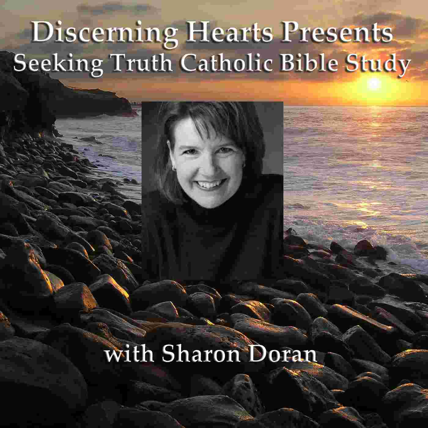 https://www.discerninghearts.com/catholic-podcasts/wp-content/uploads/powerpress/Sharon_iTunes.jpg