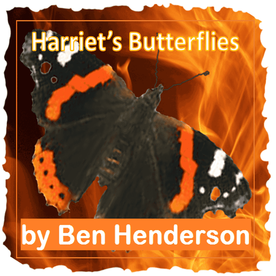 https://www.fyldeaudiotheatre.uk/wp-content/uploads/Harriets-Butterflies-Book-Cover-04.png