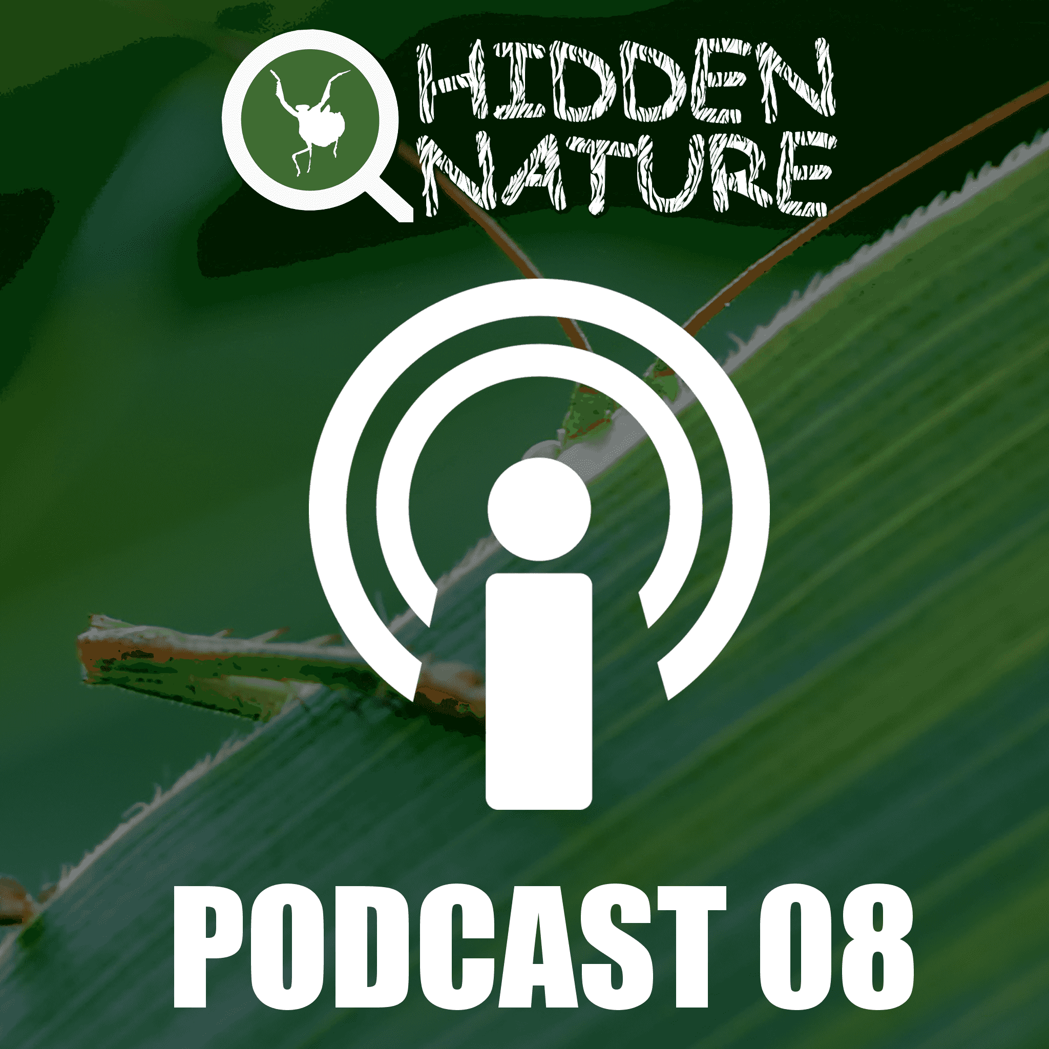 https://www.hidden-nature.com/panel/wp-content/uploads/2018/10/Podcats_08HN.png