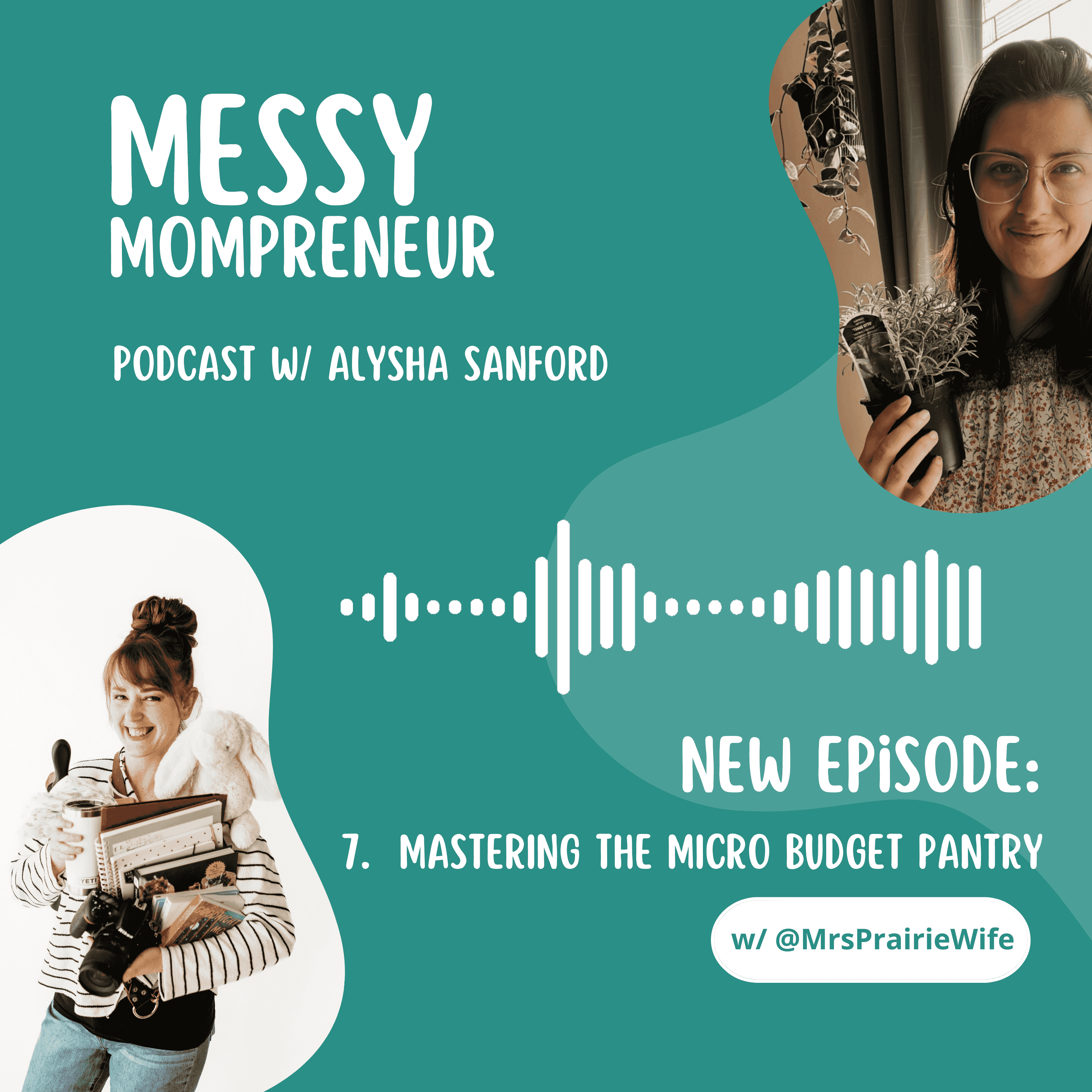https://www.messymompreneur.com/assets/img/mastering-the-micro-budget.png