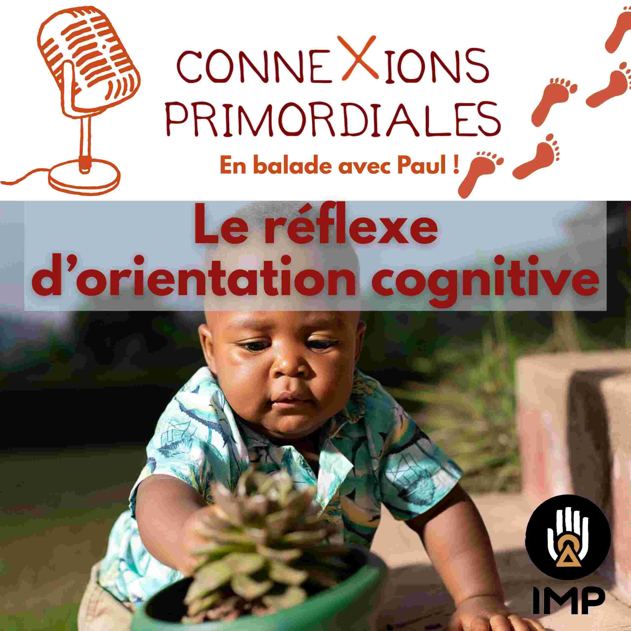 https://www.ressources-primordiales.fr/wp-content/uploads/Curiosite-podcast-scaled.jpg