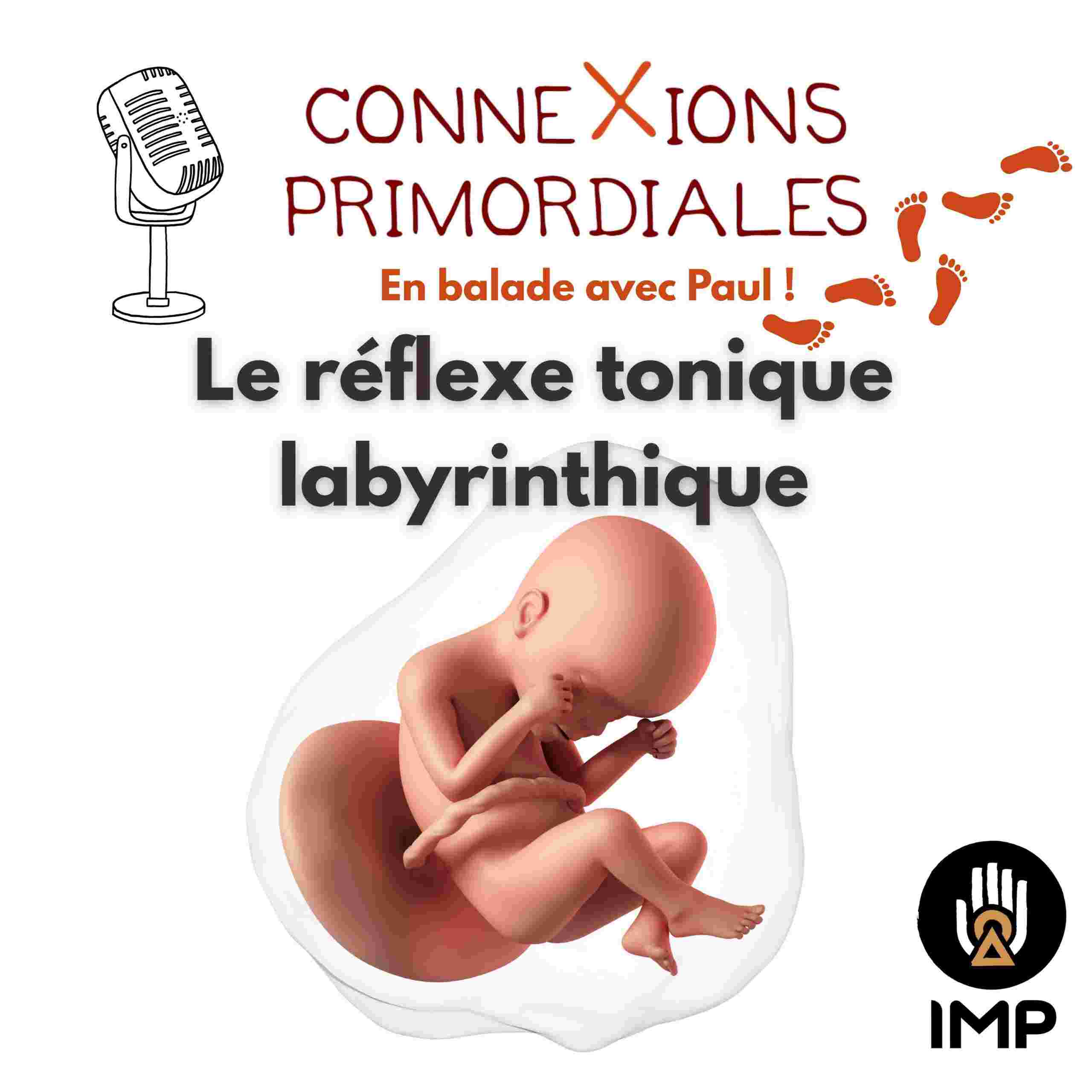 https://www.ressources-primordiales.fr/wp-content/uploads/RTL-podcast-scaled.jpg