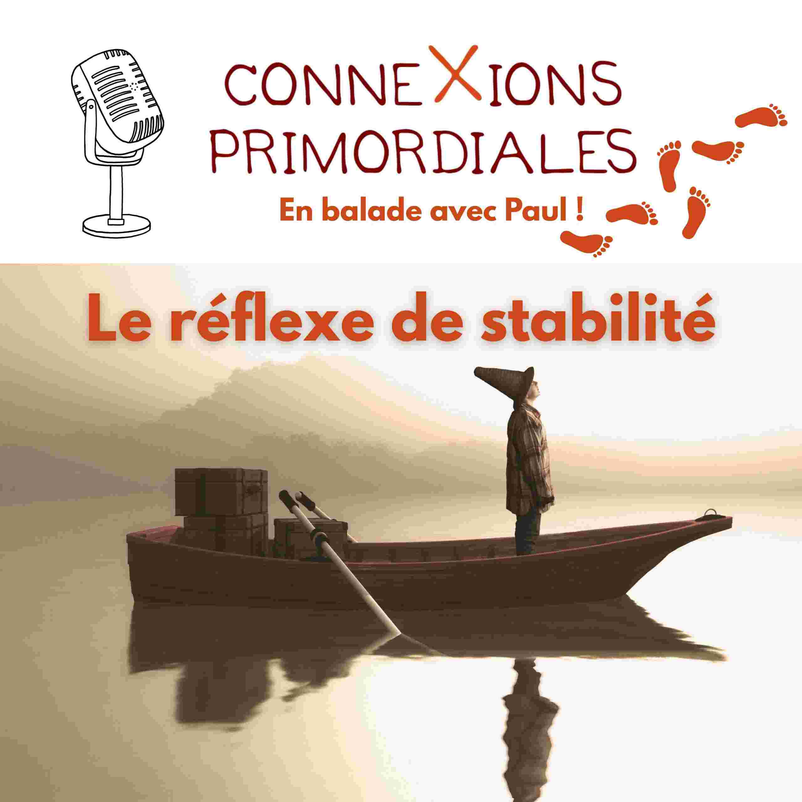 https://www.ressources-primordiales.fr/wp-content/uploads/Reflexe-de-stabilite-podcast-scaled.jpg