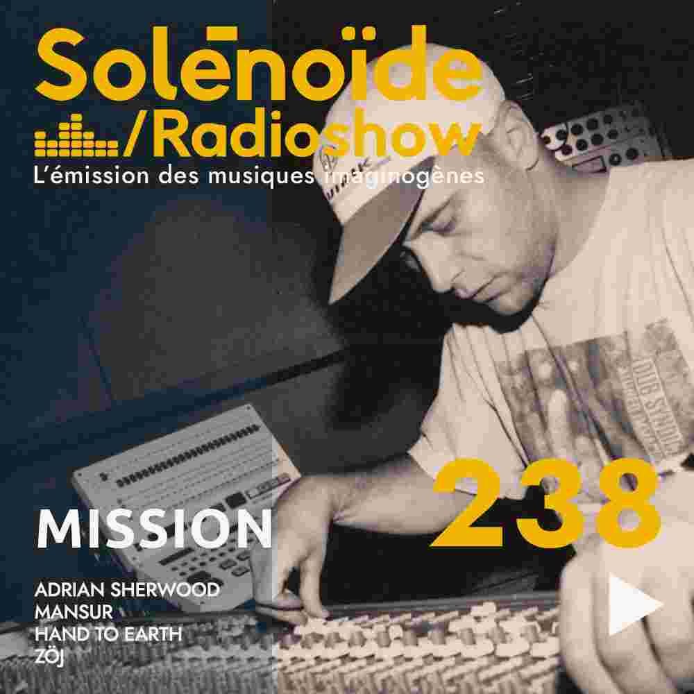 https://www.solenopole.org/newsletter_2024/solenoide_mission_238_sq.jpg