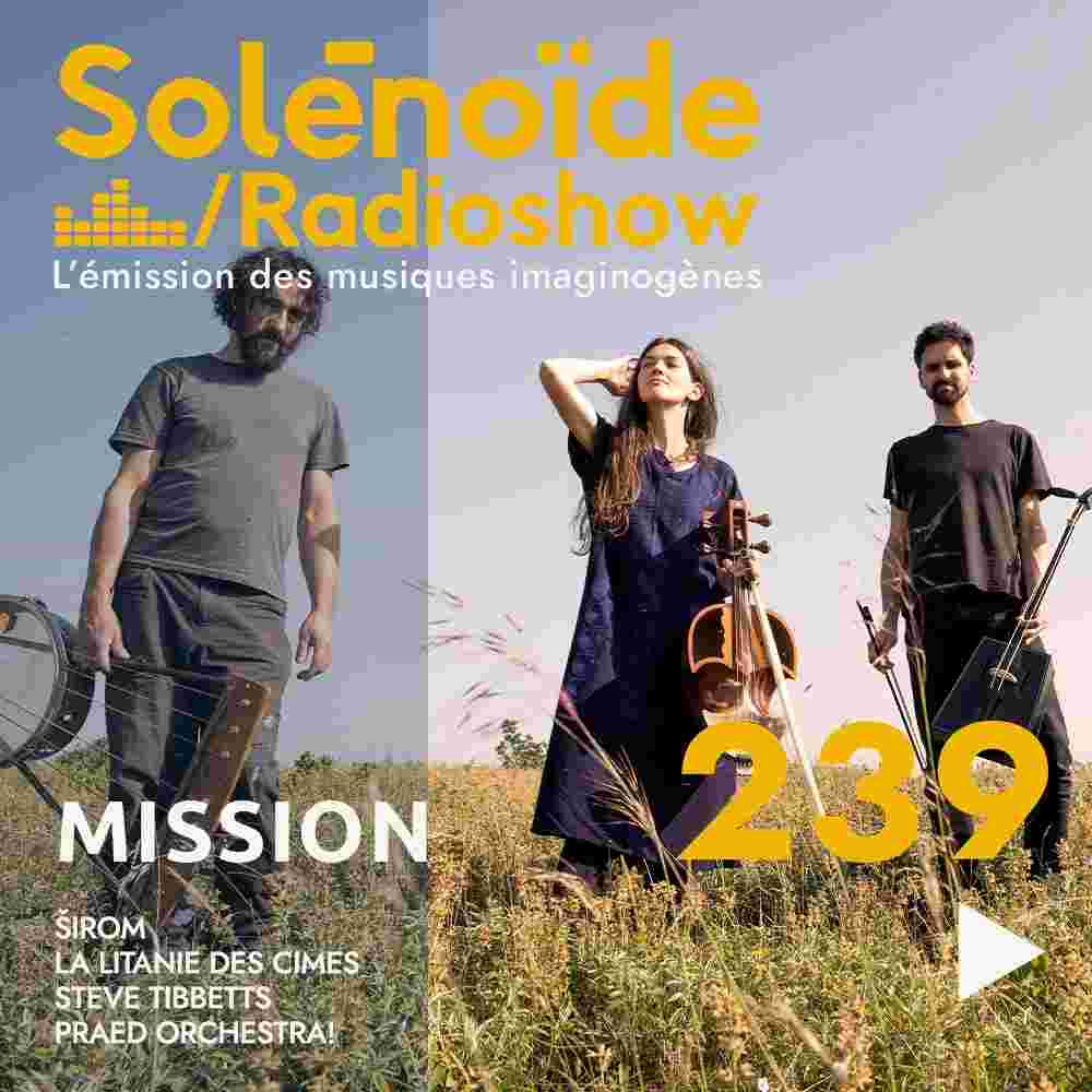 https://www.solenopole.org/newsletter_2024/solenoide_mission_239_sq.jpg
