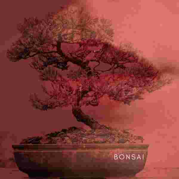 https://www.supermarketradio.it/wp-content/uploads/bonsai-dopoilciao-copertina-600x600-1.jpeg