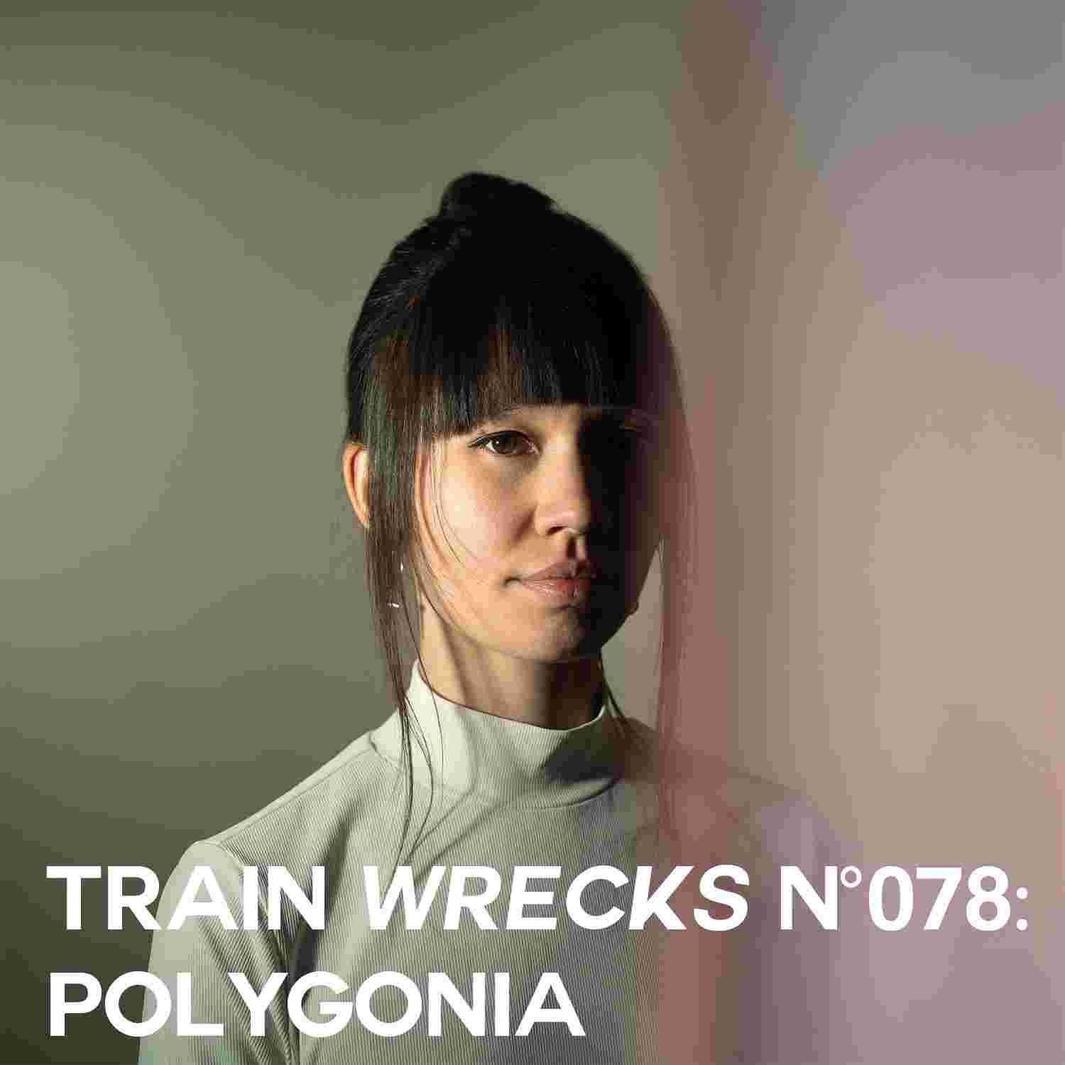 https://www.trainwreckspodcast.com/wp-content/uploads/2024/09/TW078-Polygonia-2.jpg