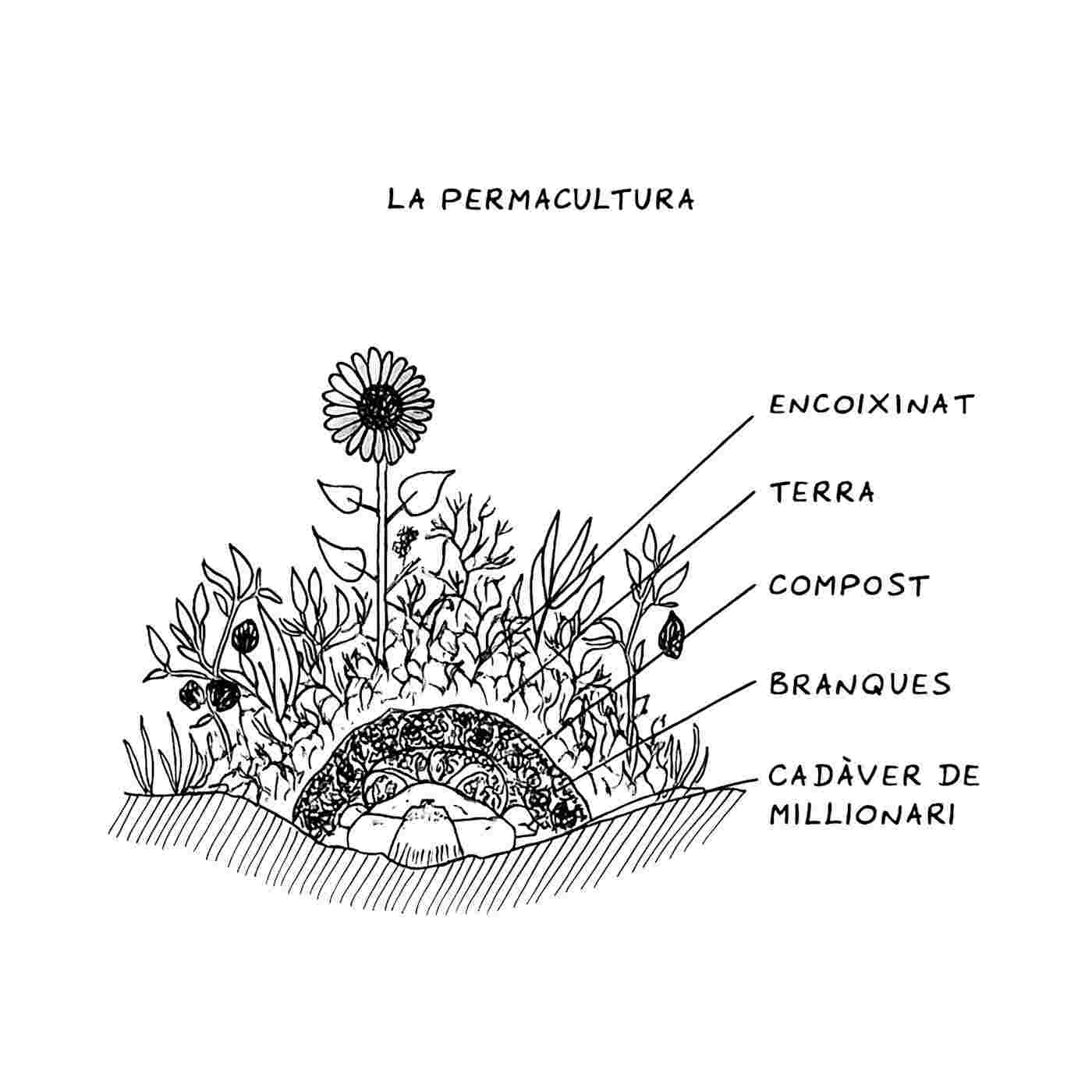 https://www.vinatural.org/va-de-vi/images/permacultura.jpg