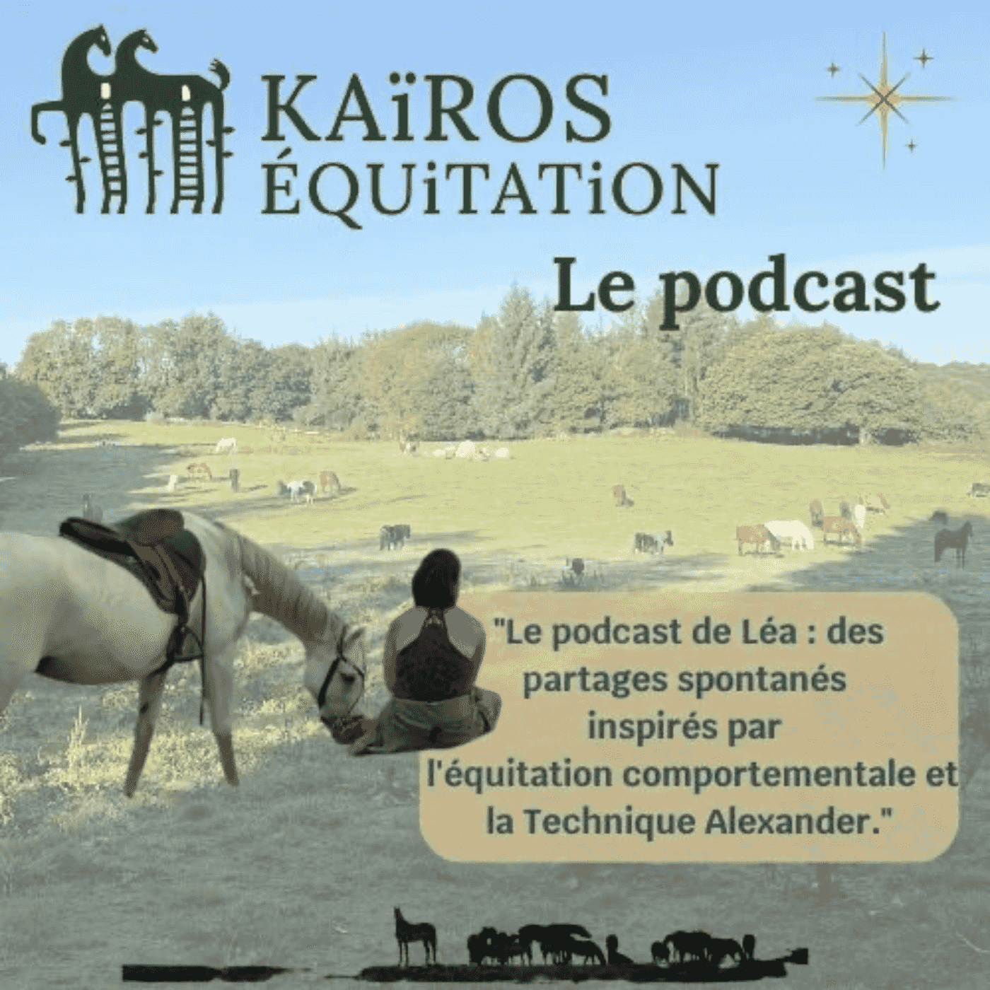 https://www.vodio.fr/images/logos1400/1736110224_kairos-equitation_kairosequitation.png