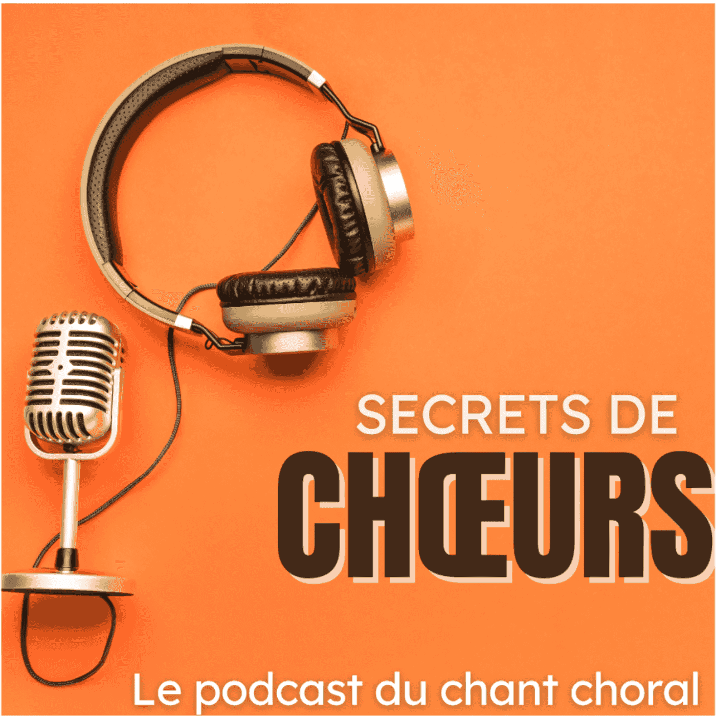 https://www.vodio.fr/images/logos1400/1745955778_secretsdechoeurs_secretsdechoeurs.png
