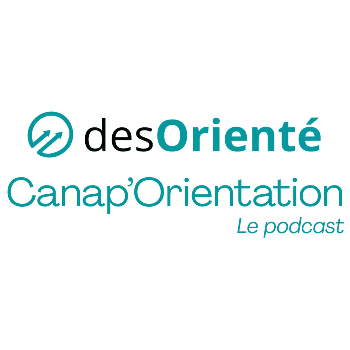 https://www.vodio.fr/images/logos1400/1749030686_canap-orientation_desoriente-orientation.png