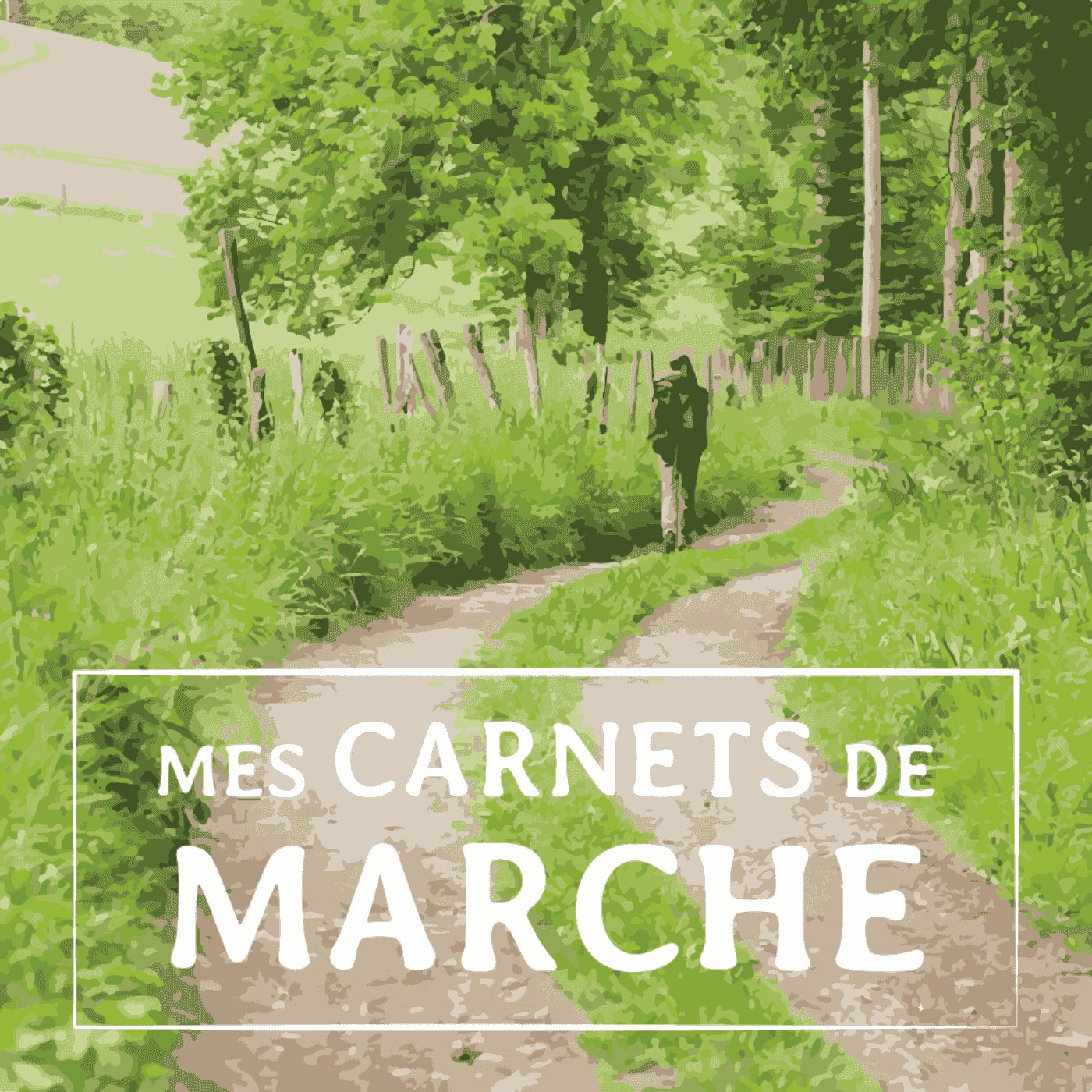 https://www.vodio.fr/images/logos1400/1766083516_mes-carnets-de-march_deskilometresapied.png