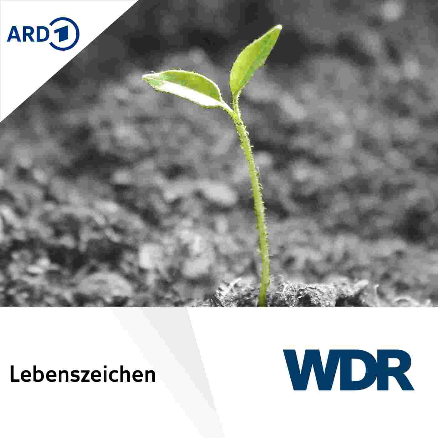 https://www1.wdr.de/mediathek/audio/sendereihen-bilder/wdr3_sendereihenbild110~_v-Podcast.jpg