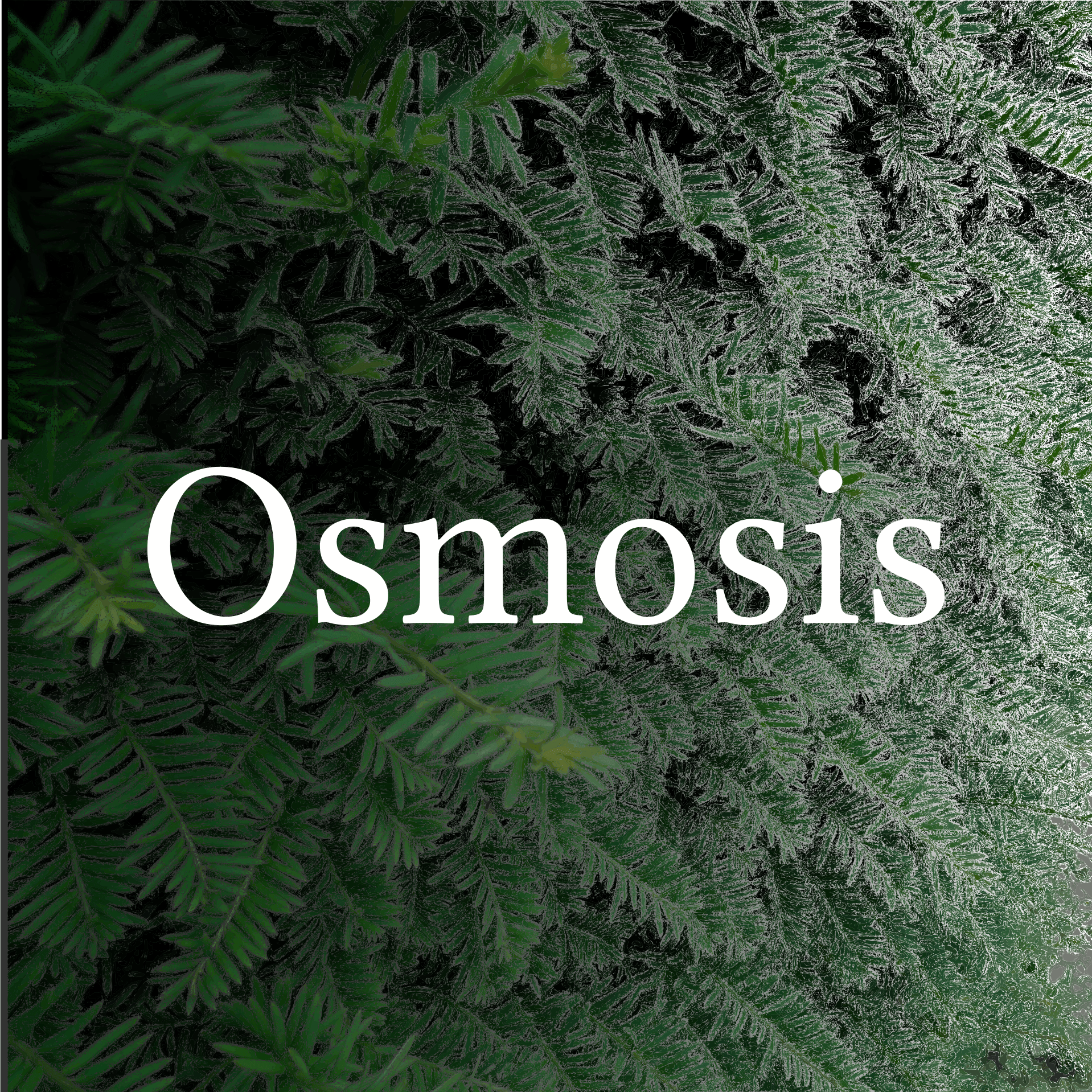 https://assets.osmosiscast.com/static-assets/osmosis-logo-square.png