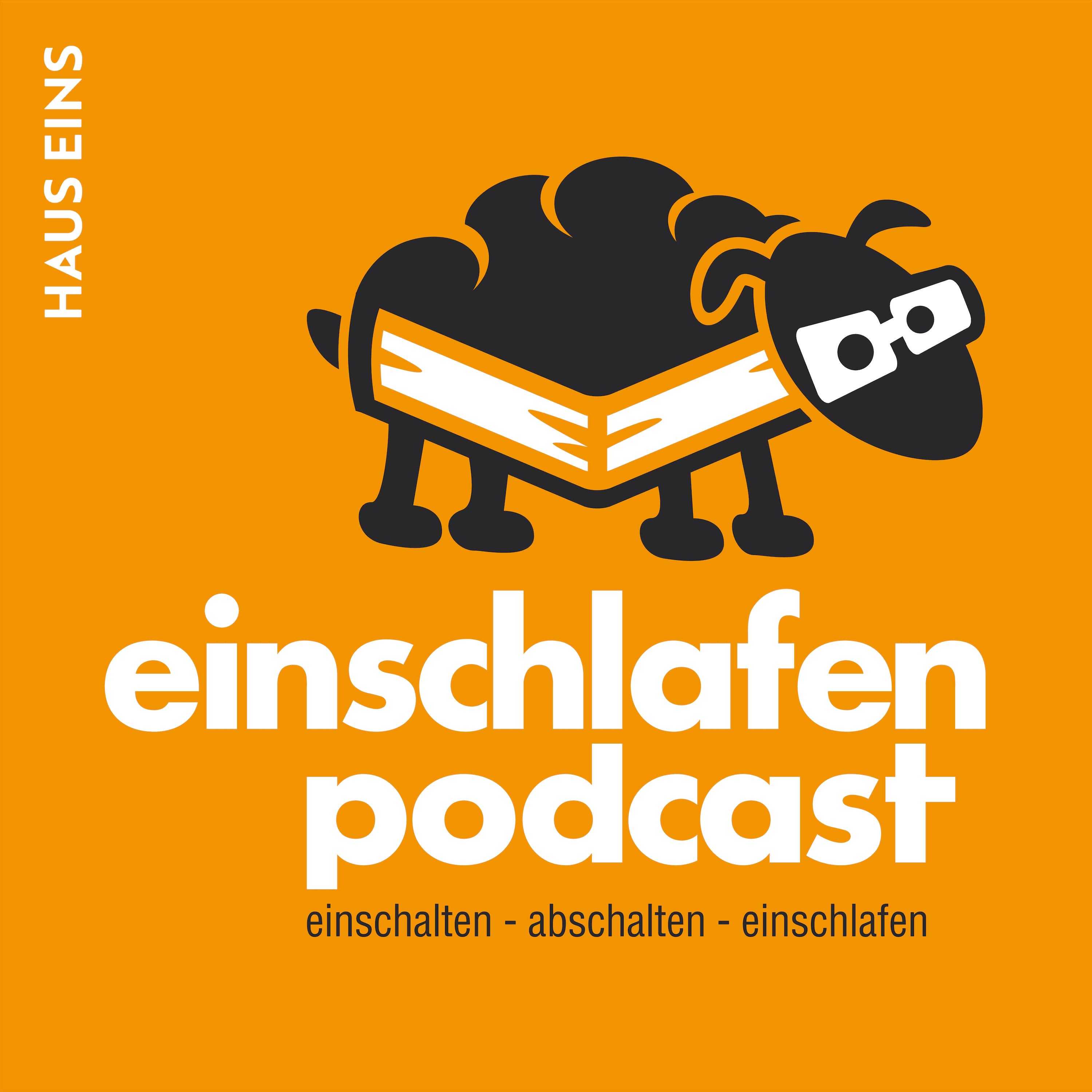 https://cdn.podseed.org/einschlafen/ep0589.png
