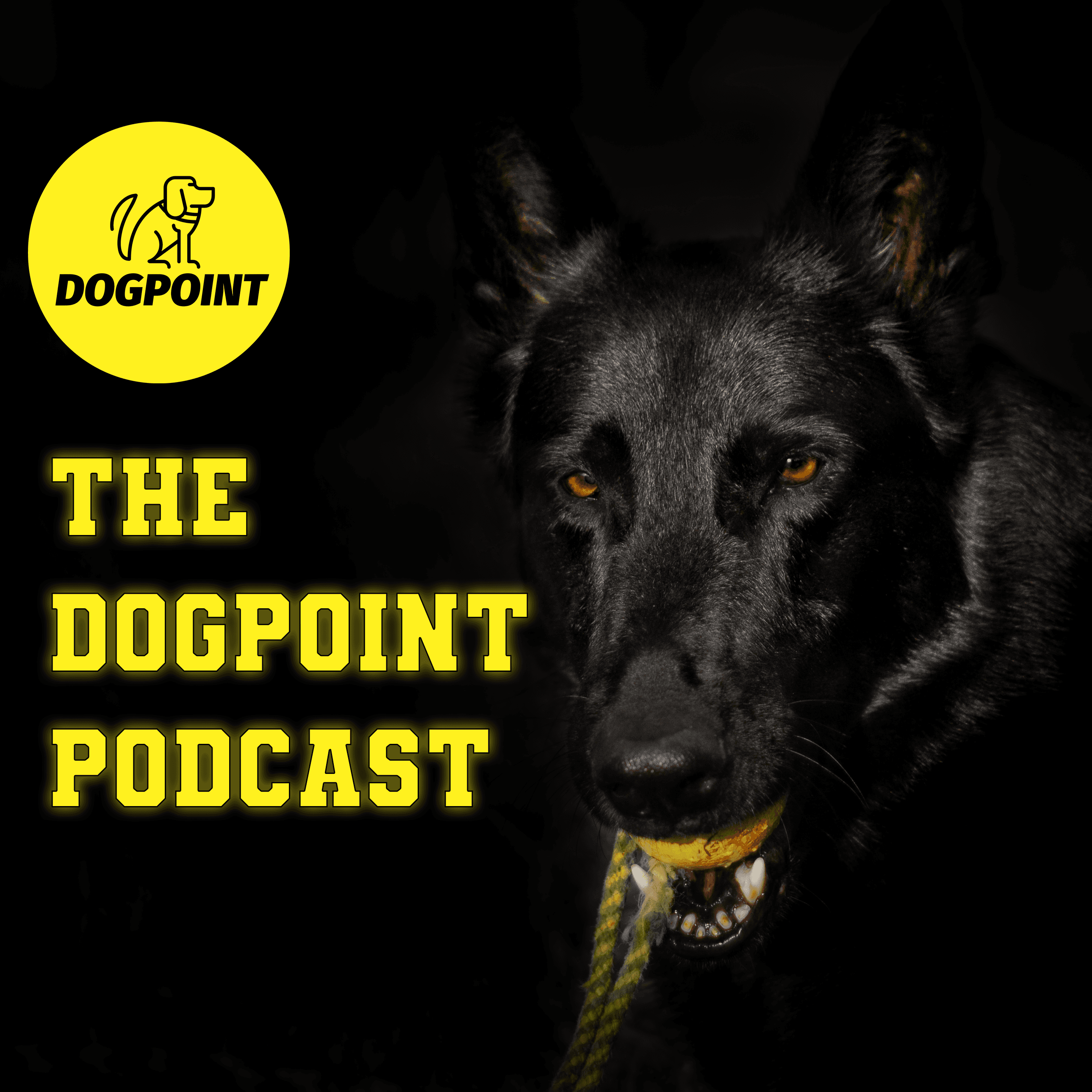 https://media.rss.com/dogpoint/ep_cover_20241207_101213_5eb5a8f473716f6582459691cf8b5d80.png
