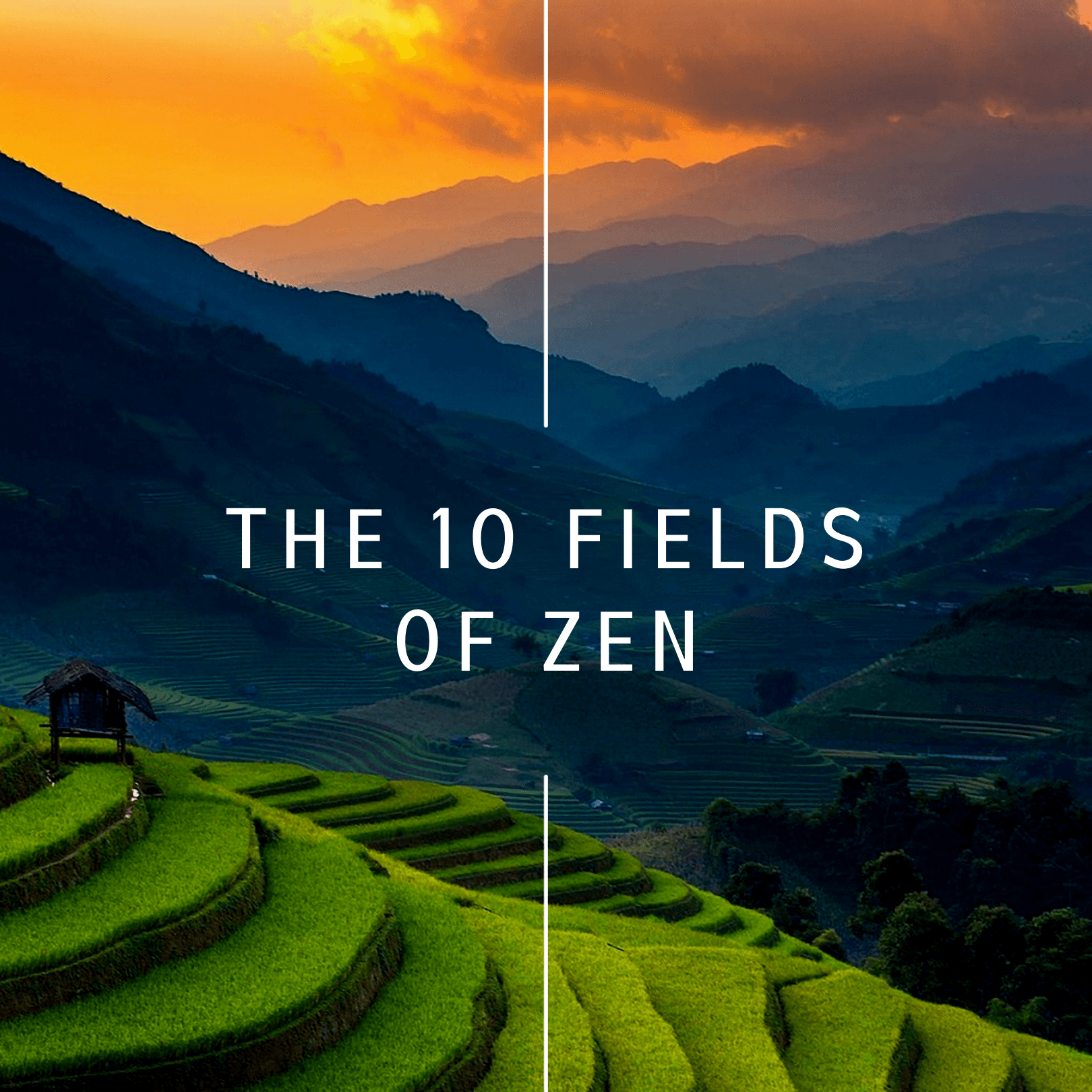 https://static.libsyn.com/p/assets/5/f/4/d/5f4d9eed54fb752b16c3140a3186d450/10-FIELDS-OF-ZEN.png