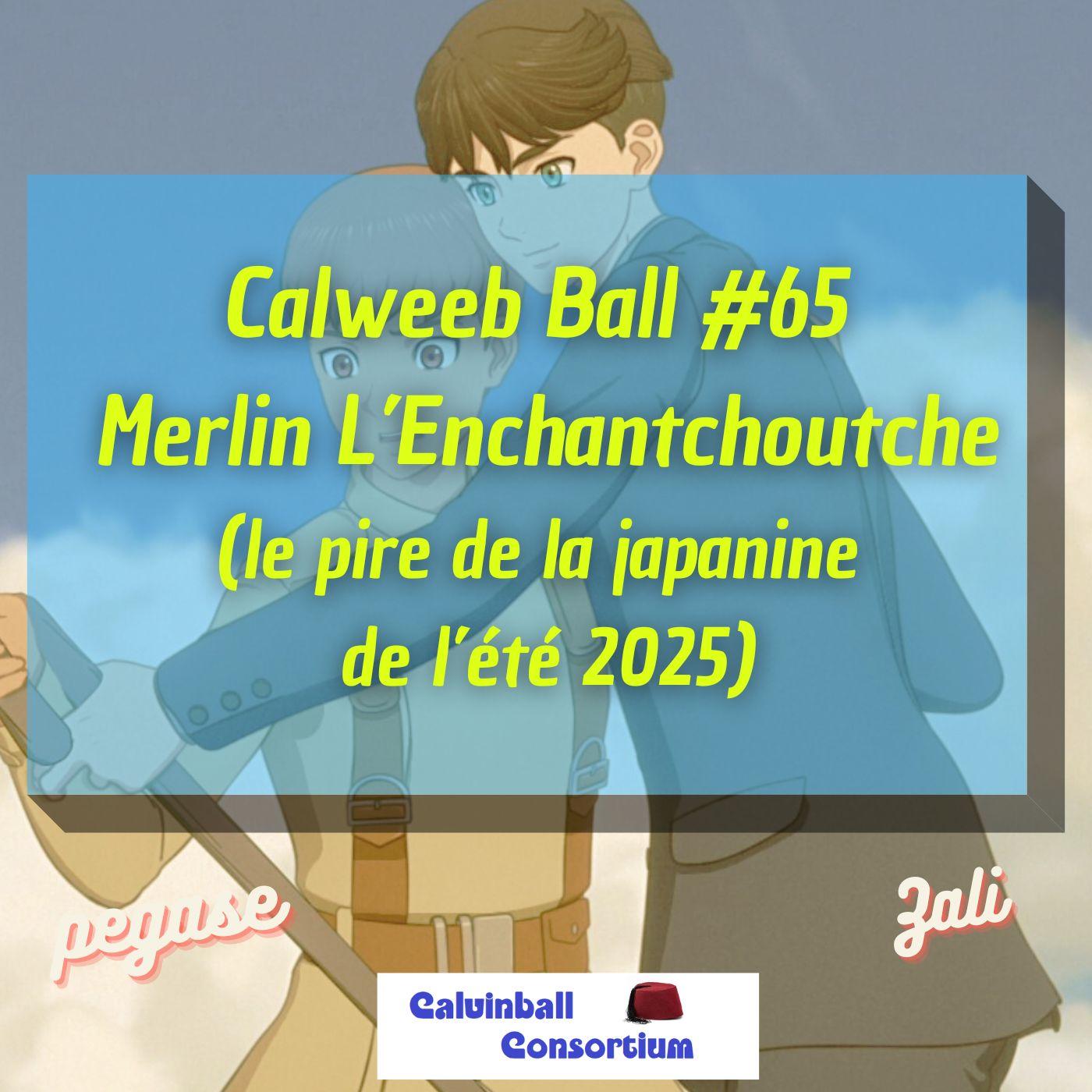 https://www.calvinballconsortium.fr/images/calweebball/full/CWB65.jpg