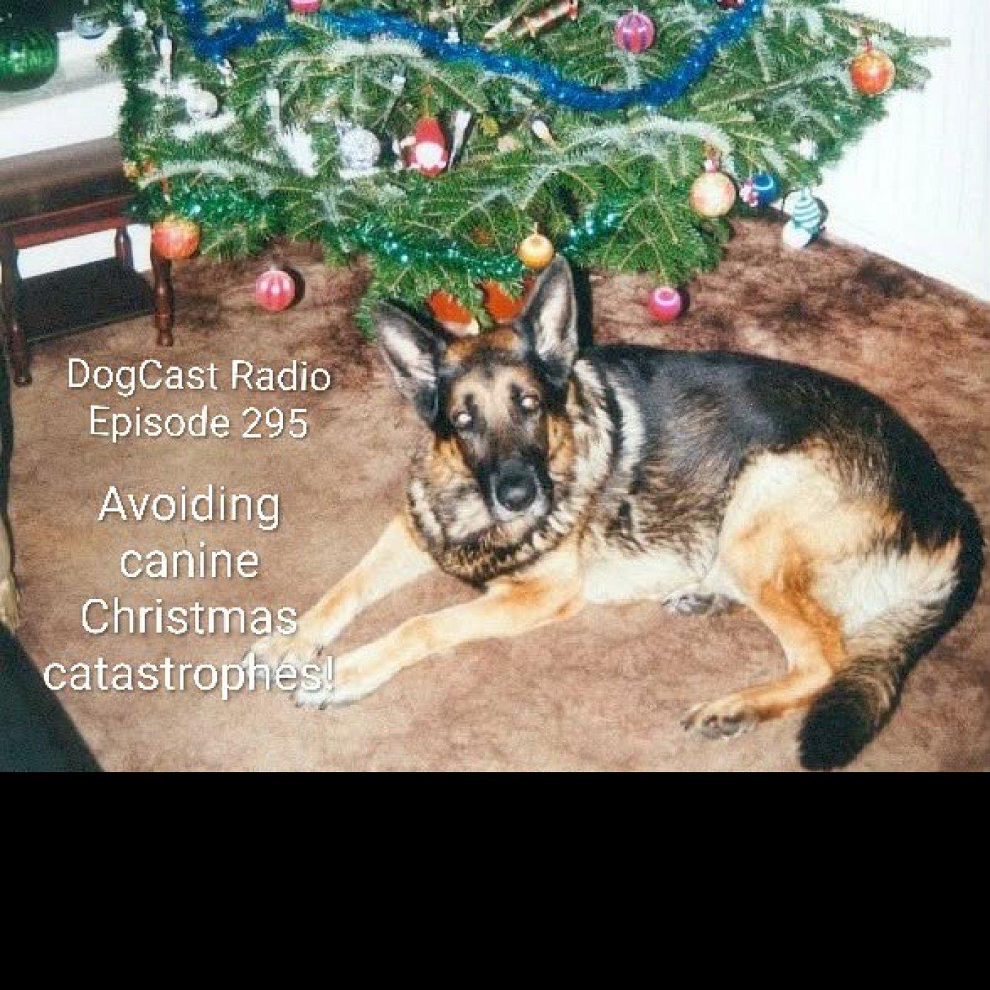 https://www.dogcastradio.com/ItunesImage/PN026900.jpg