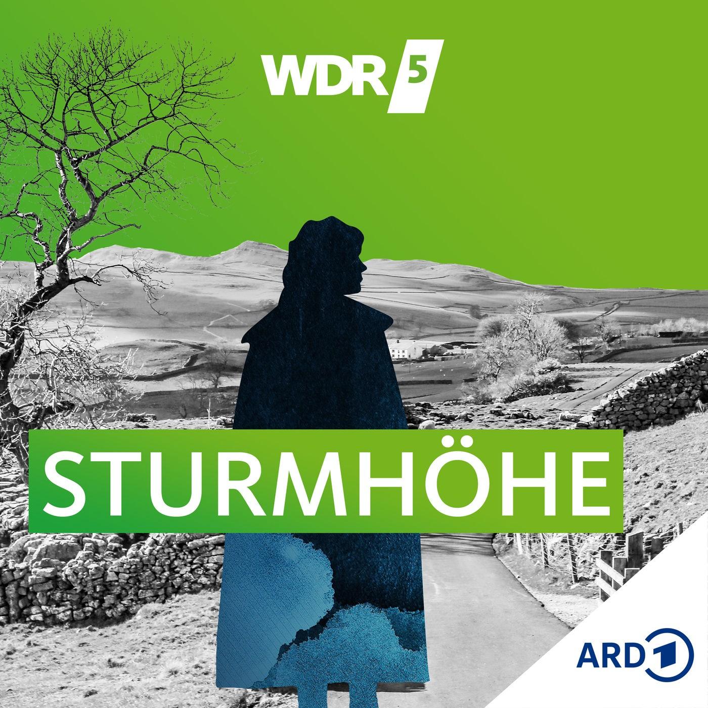 https://www1.wdr.de/mediathek/audio/sendereihen-bilder/wdr-fuenf-sturmhoehe-100~_v-Podcast.jpg