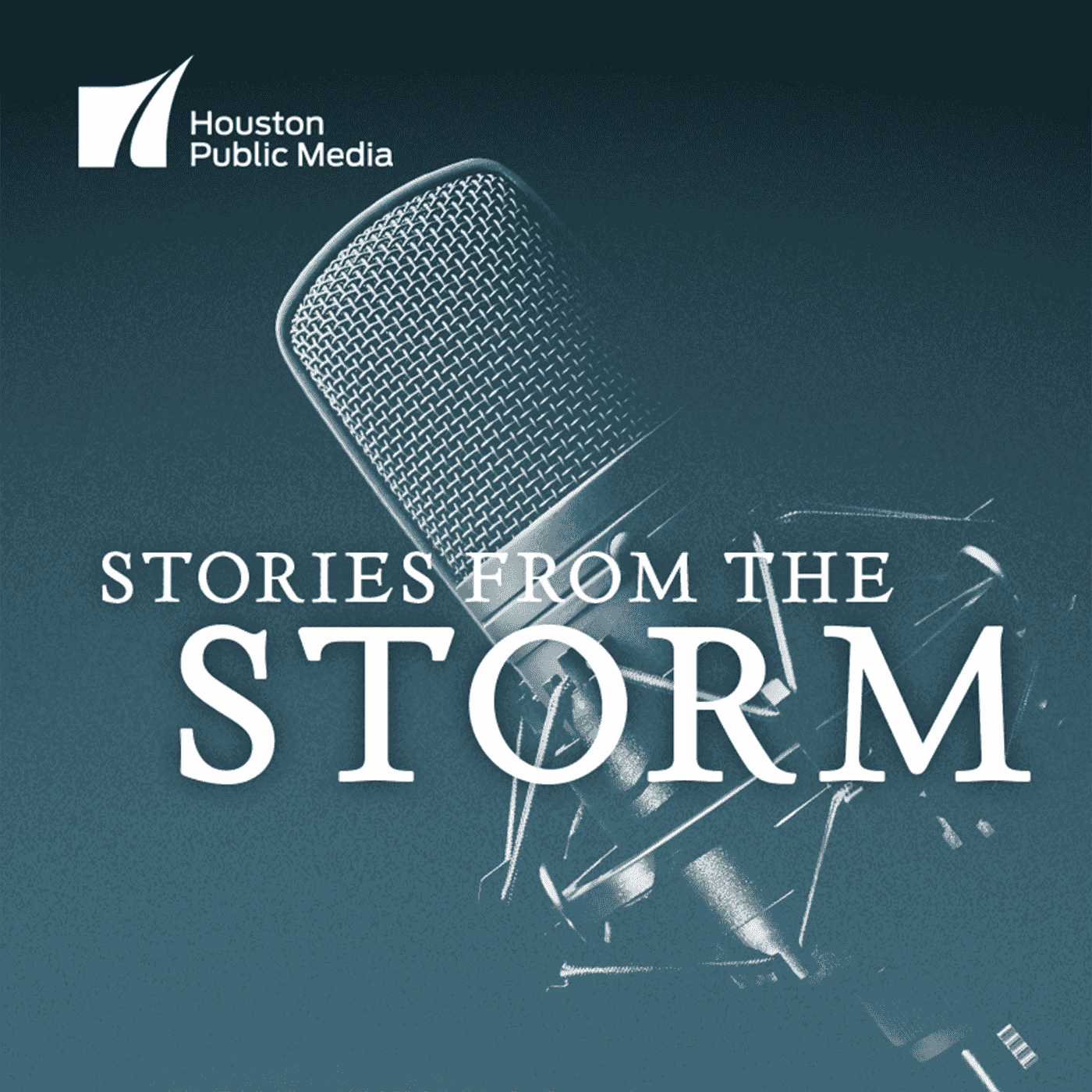 https://cdn.houstonpublicmedia.org/wp-content/uploads/2018/06/21110913/Stories-from-the-storm-podcast.png