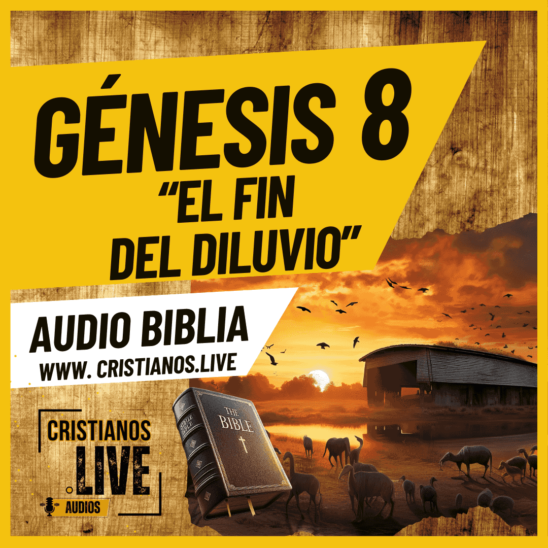 https://files.hubhopper.com/podcast/436181/episode/32438143/genesis-8-el-fin-del-diluvio.png