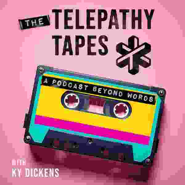 https://is1-ssl.mzstatic.com/image/thumb/Podcasts211/v4/41/78/3f/41783f6c-1114-3be0-b369-7b4d6ec48ccc/mza_9753658394691516224.jpeg/600x600bb.jpg
