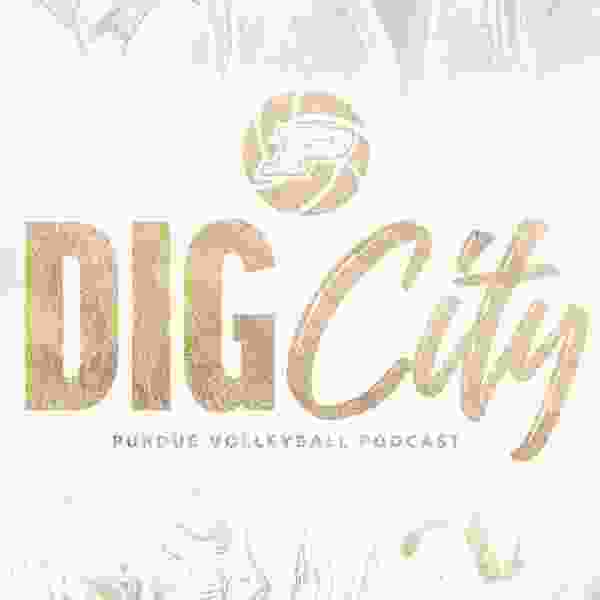 https://is1-ssl.mzstatic.com/image/thumb/Podcasts211/v4/d9/f8/7b/d9f87b1b-ba91-b751-ad77-21a2400e2255/mza_12815870685472652423.jpg/600x600bb.jpg