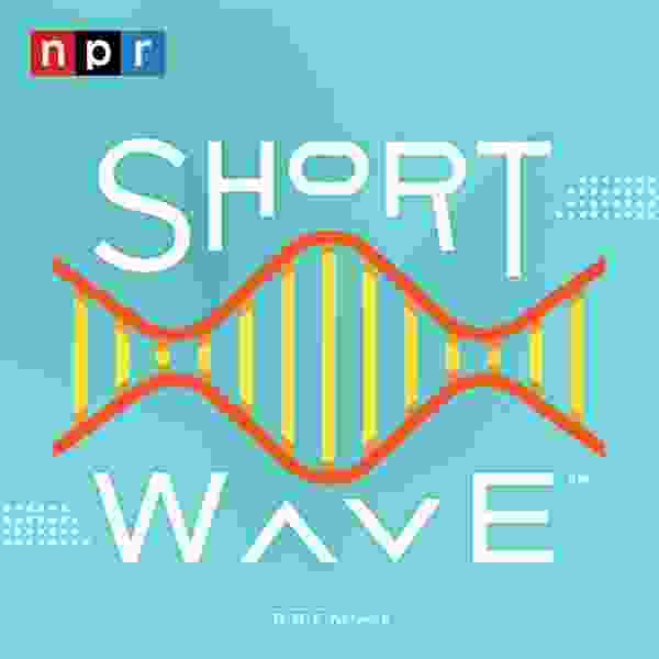 https://is1-ssl.mzstatic.com/image/thumb/Podcasts221/v4/17/27/45/17274534-c924-edae-c6ca-c412724c96ae/mza_4098925705315309992.jpg/600x600bb.jpg