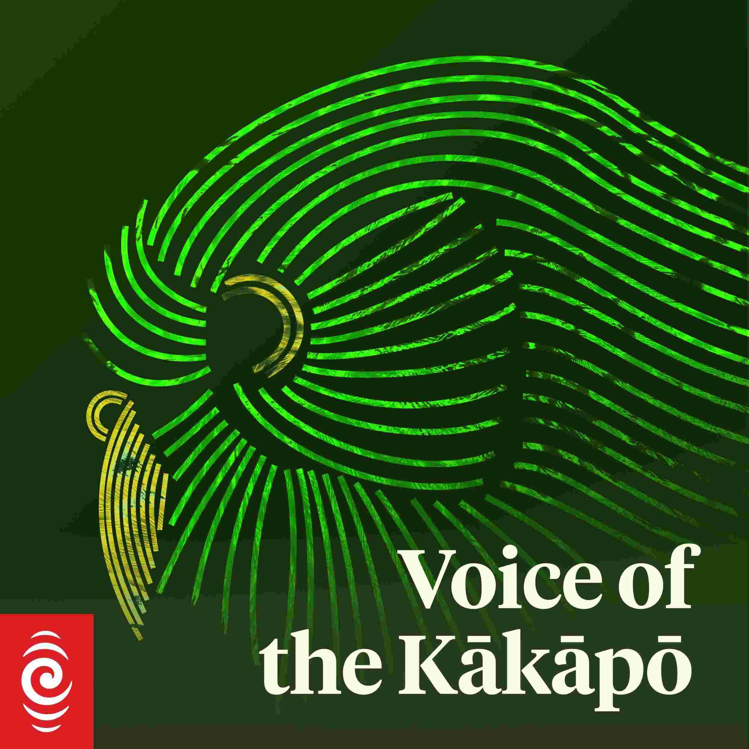 https://media.rnztools.nz/rnz/image/upload/s--zPw3_G0Z--/t_kt-podcast-external-cover-feeds/4K6161I_voice_of_the_kakapo_cover_external_v2_png.jpg