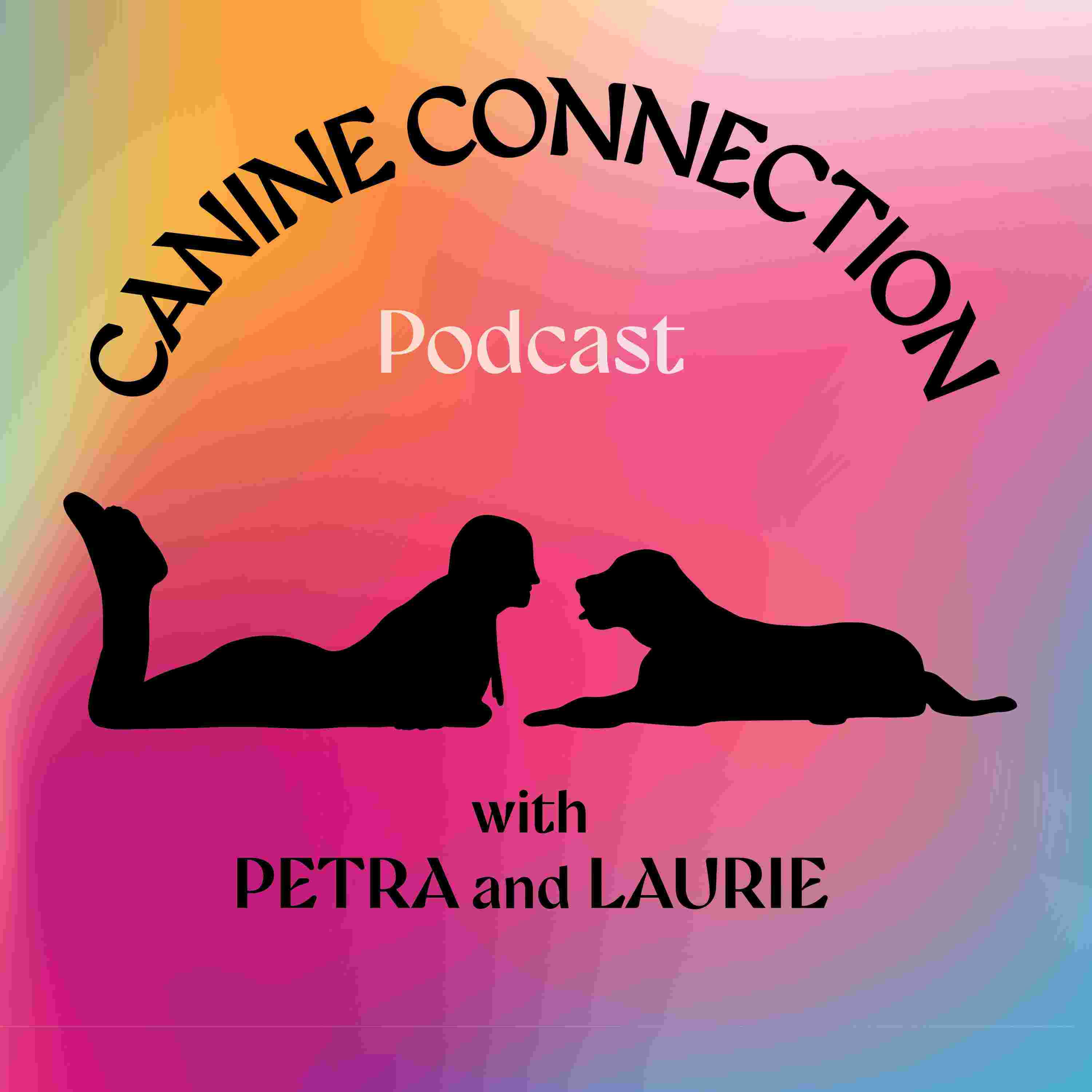 https://media.rss.com/canine-connection-podcast/ep_cover_20250919_100904_fd4b87ee903d9ce8c54b04e48bbea50b.jpg