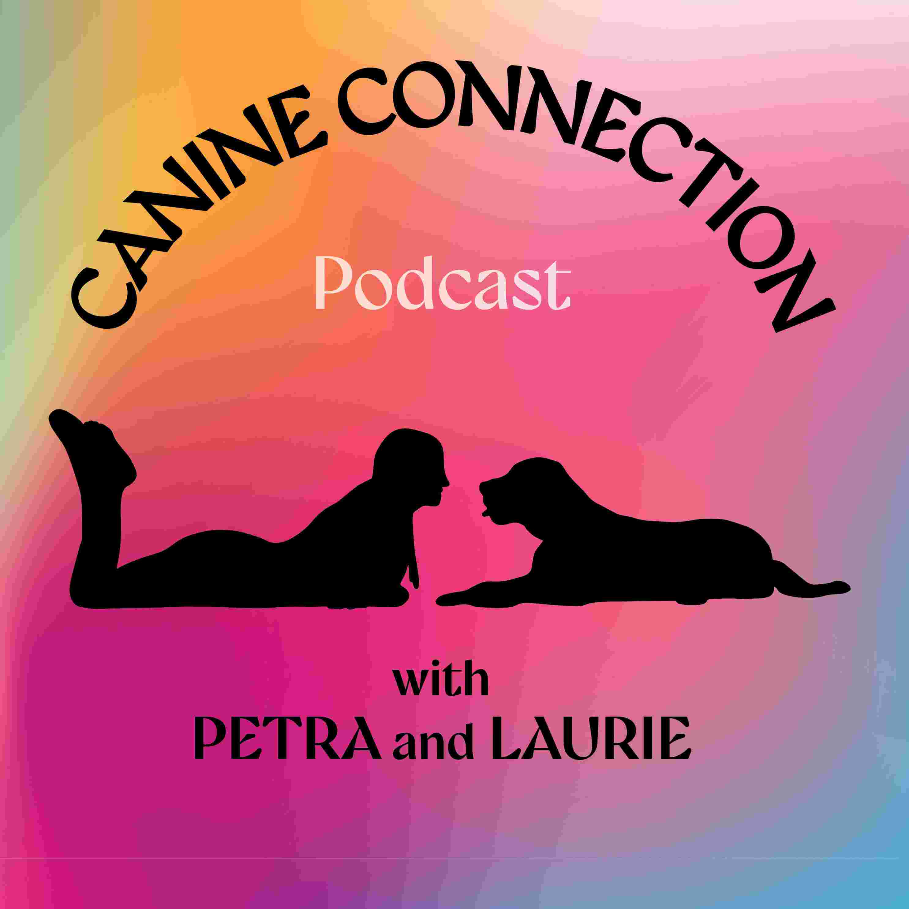 https://media.rss.com/canine-connection-podcast/ep_cover_20251230_111208_66147c78c2425c99dc719d44941654c5.jpg