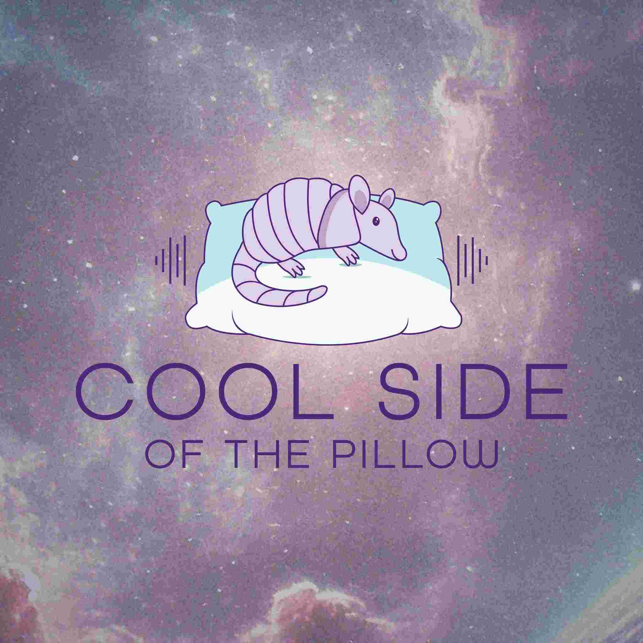 https://media.rss.com/coolsideofthepillow/ep_cover_20250601_070637_c58c04e6a3c2cfa63ec83a89f4848166.jpg