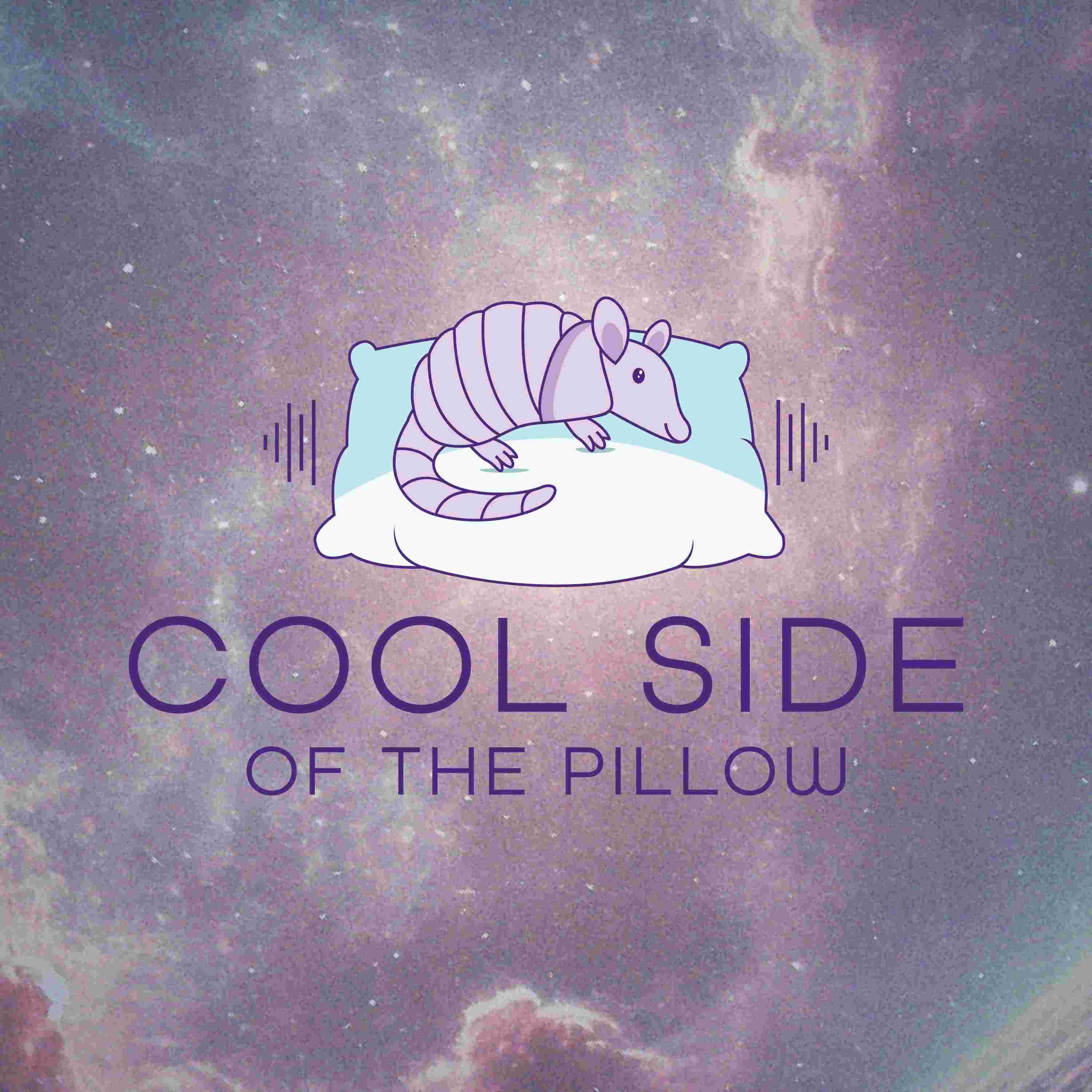 https://media.rss.com/coolsideofthepillow/ep_cover_20251001_011040_7967124f50019007c9f4a0202b096795.jpg