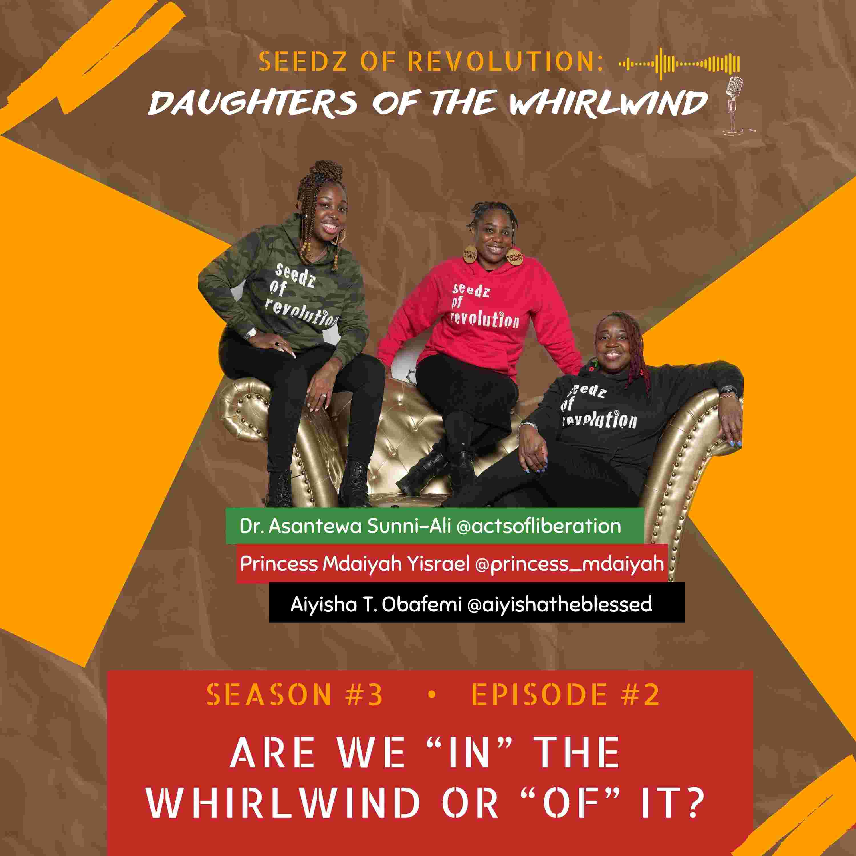 https://media.rss.com/daughtersofthewhirlwind/ep_cover_20240429_100402_c5c3babb57a380cbf230d45dce186032.jpg