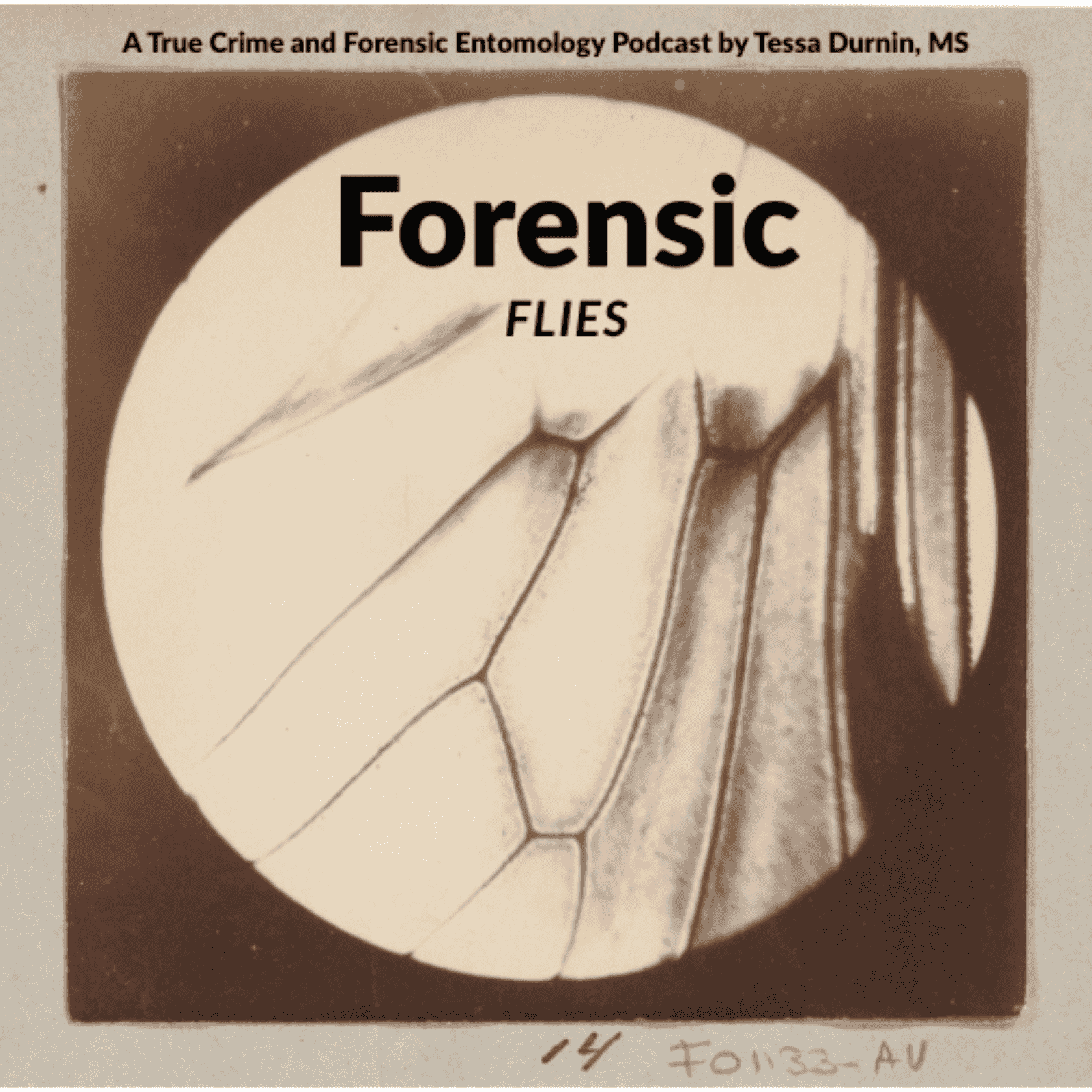 https://media.rss.com/forensic-flies/ep_cover_20251105_101111_6f1fe95f484e68e1521309f272737858.png