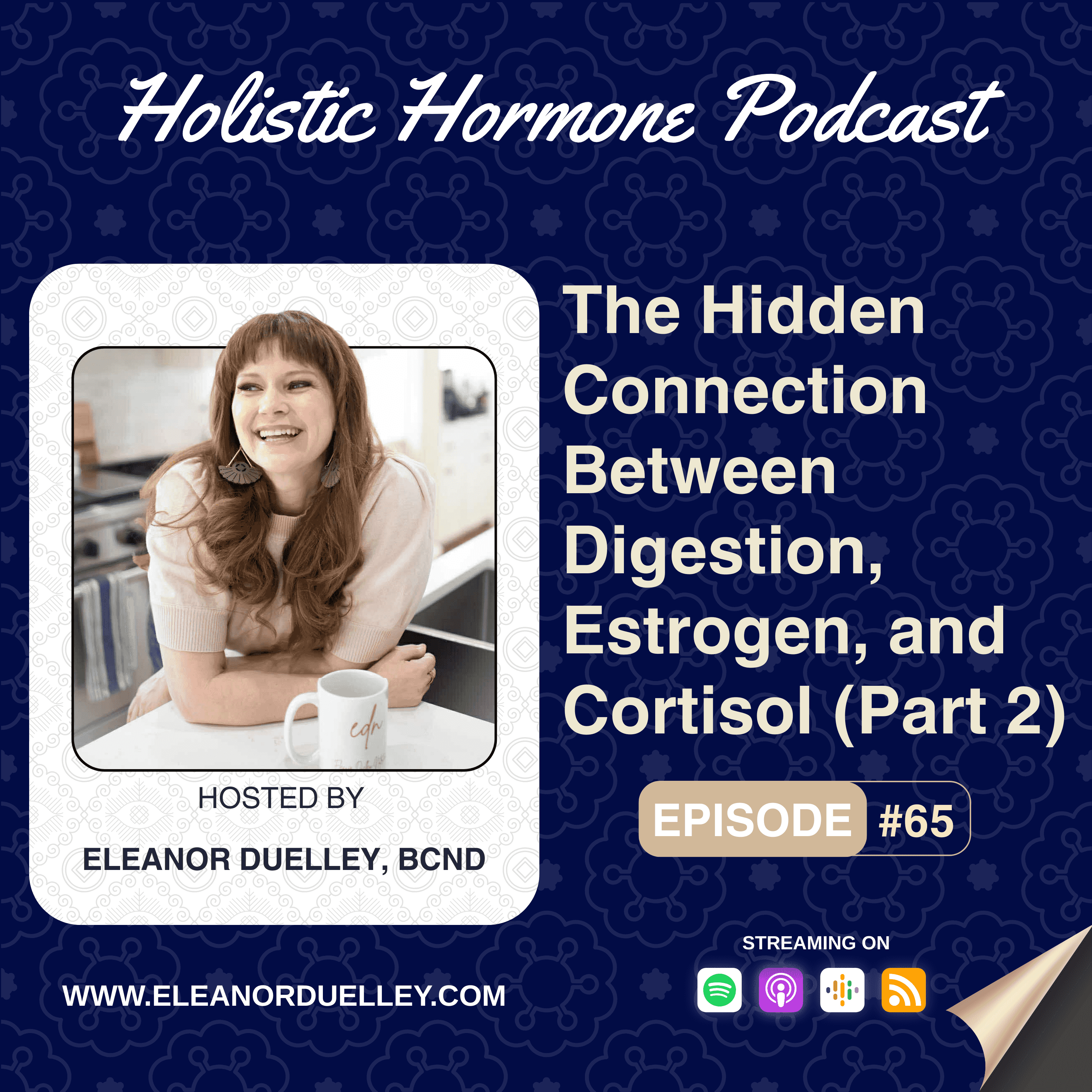 https://media.rss.com/holistic-hormone-podcast-with-eleanor-duelley/ep_cover_20250908_060956_df2a3803af830d319f286a808e65f189.png