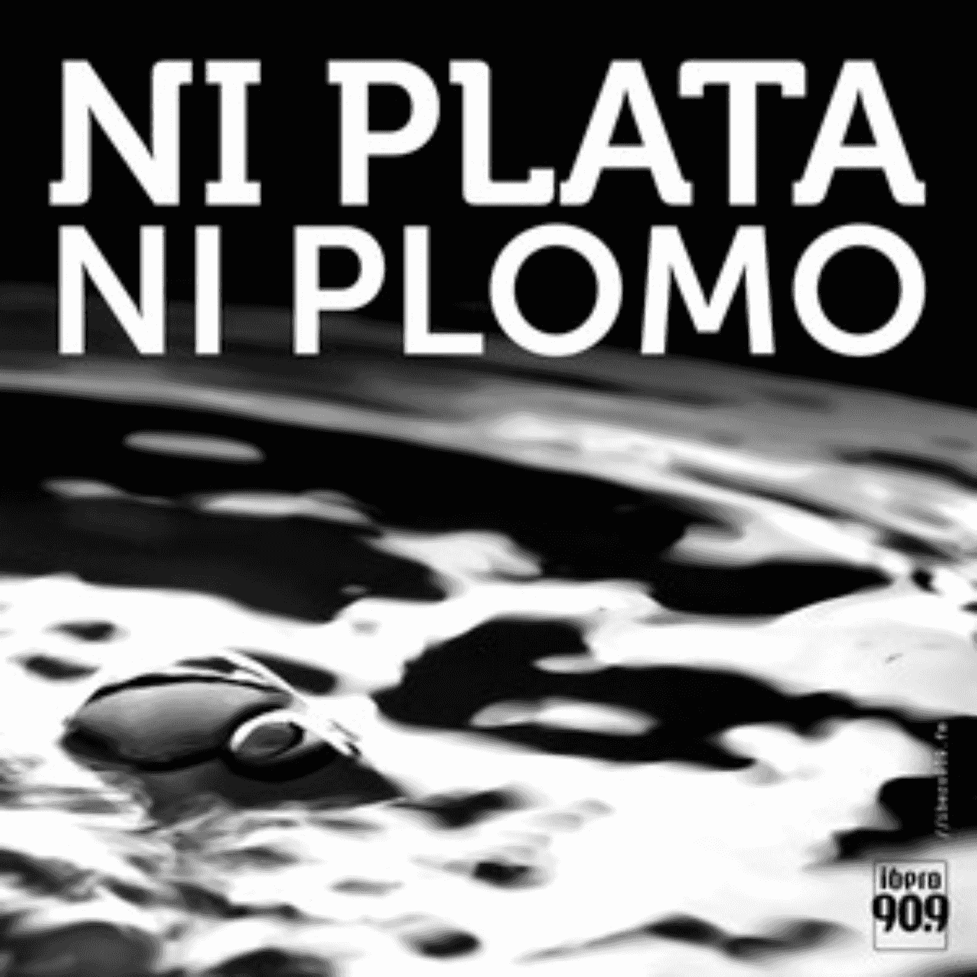https://media.rss.com/ni-plata-ni-plomo/ep_cover_20250821_090854_a2d3f84bcf26e8cc63f917e630381b67.png