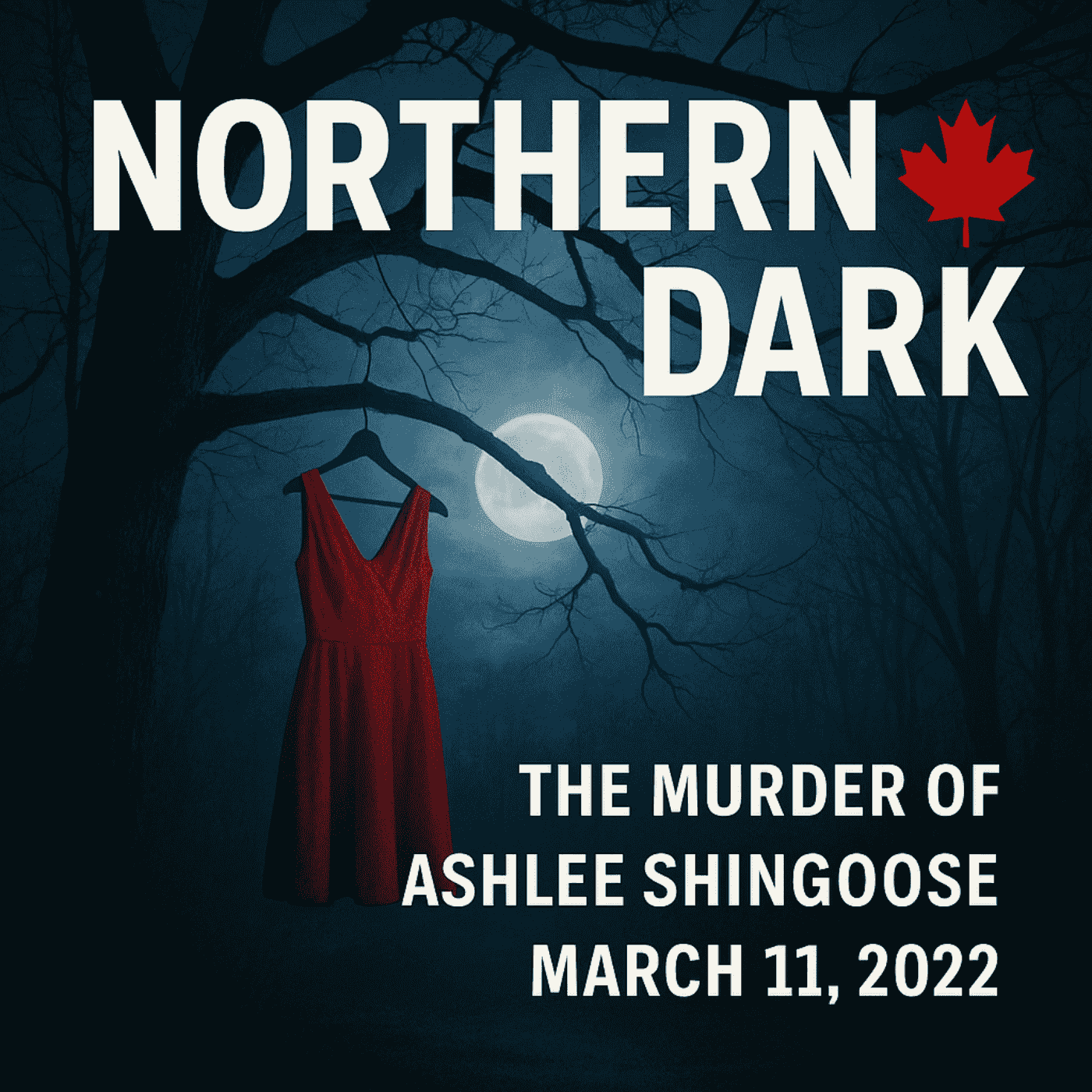 https://media.rss.com/northern-dark-true-canadian-crime/ep_cover_20250824_060814_ead5a06d41c4dac14467eca616e9ce93.png